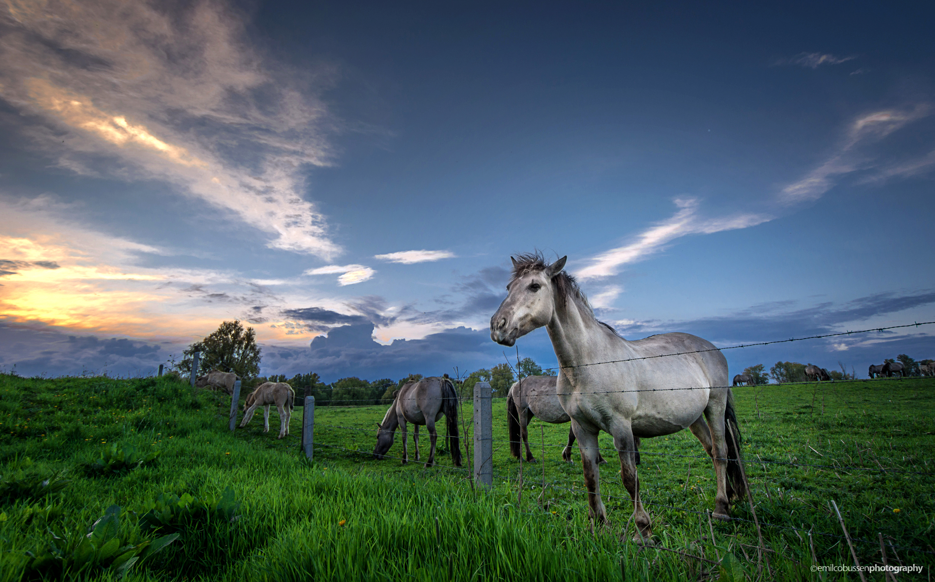 die-zeldzame-voorjaarsavond-langs-de-dijk