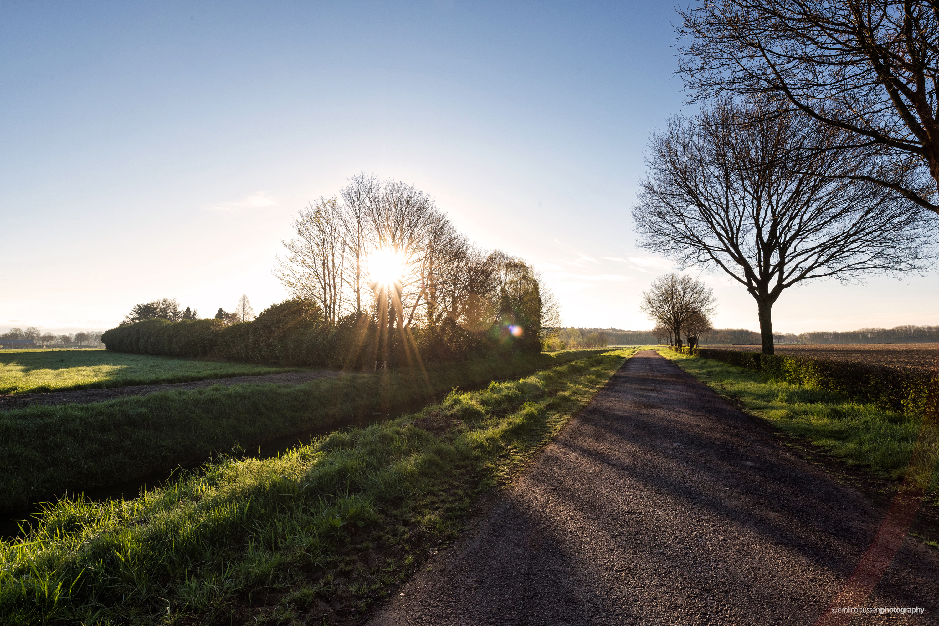 het-ochtendse-orkest-van-strijklicht
