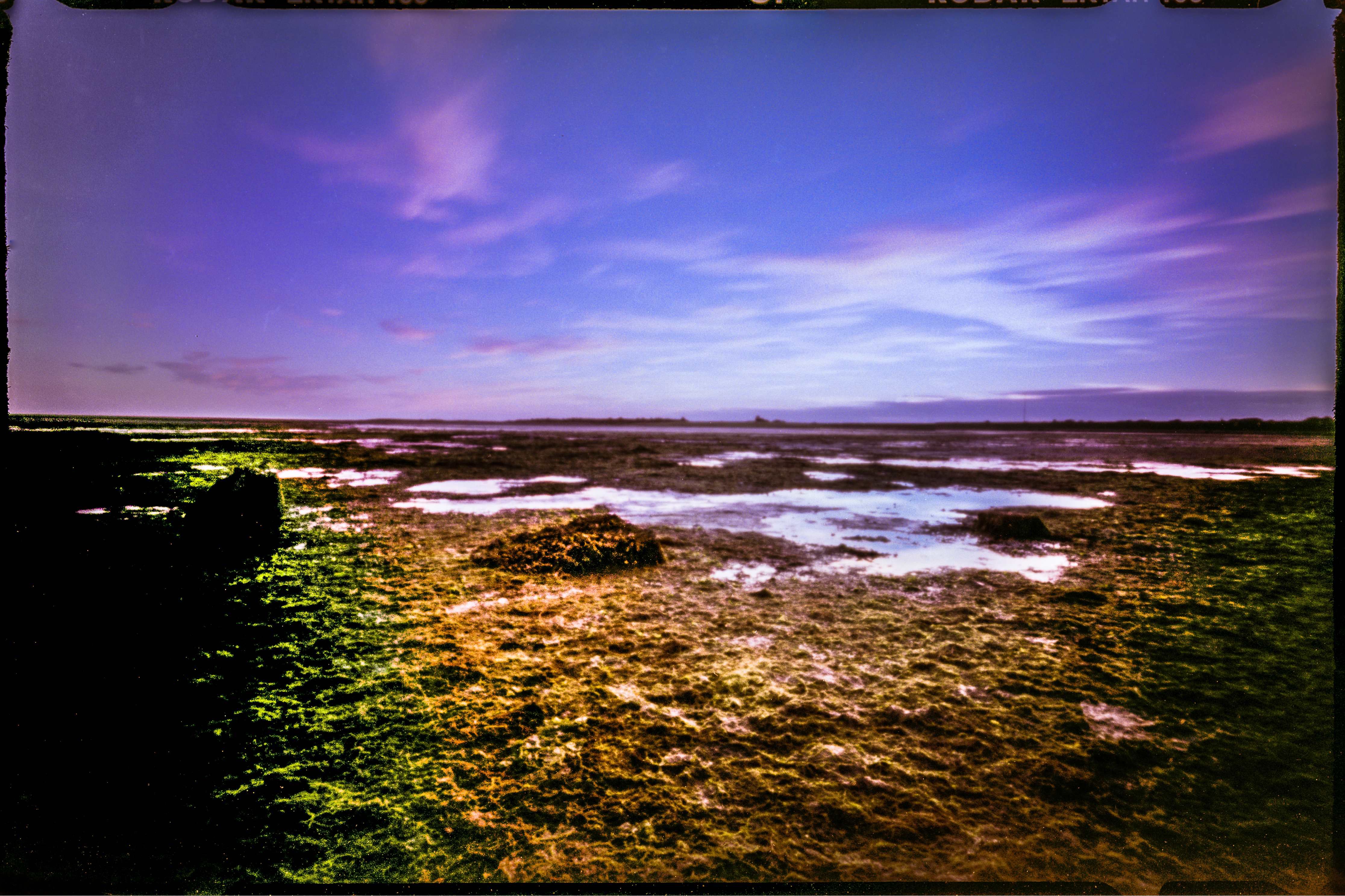 wad-bij-schiermonnikoog