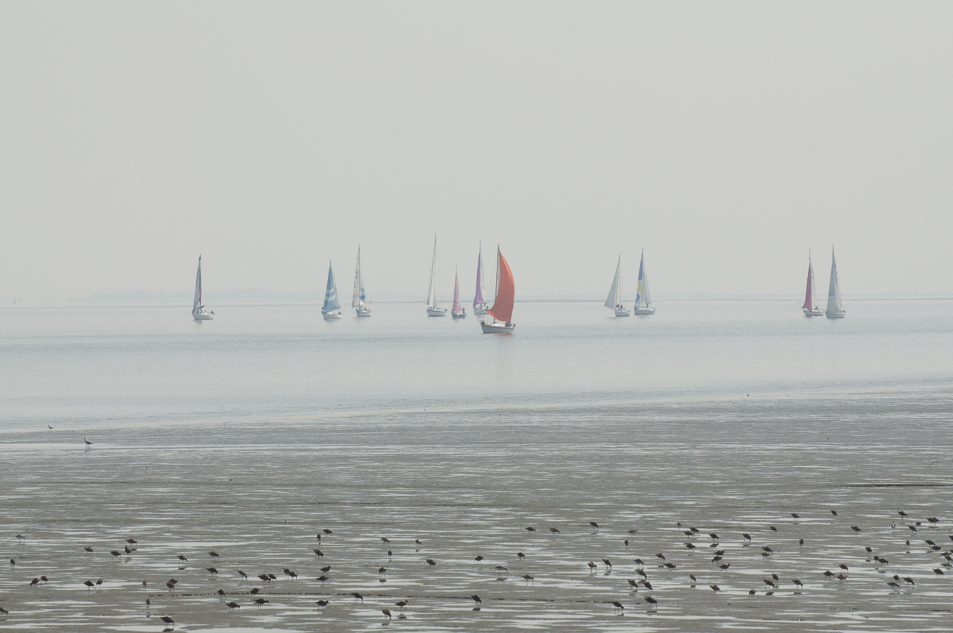 zeilwedstrijd-met-invallende-windstilte
