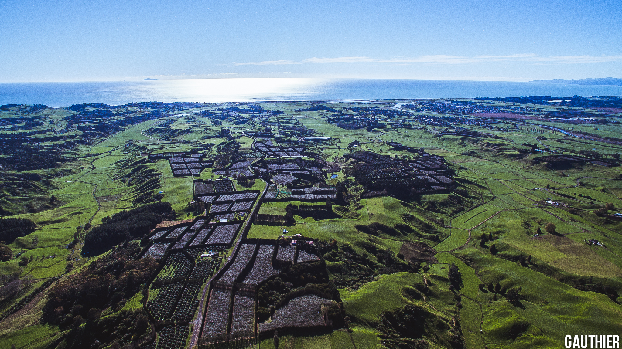 kiwi-farm-nieuw-zeeland-opotiki