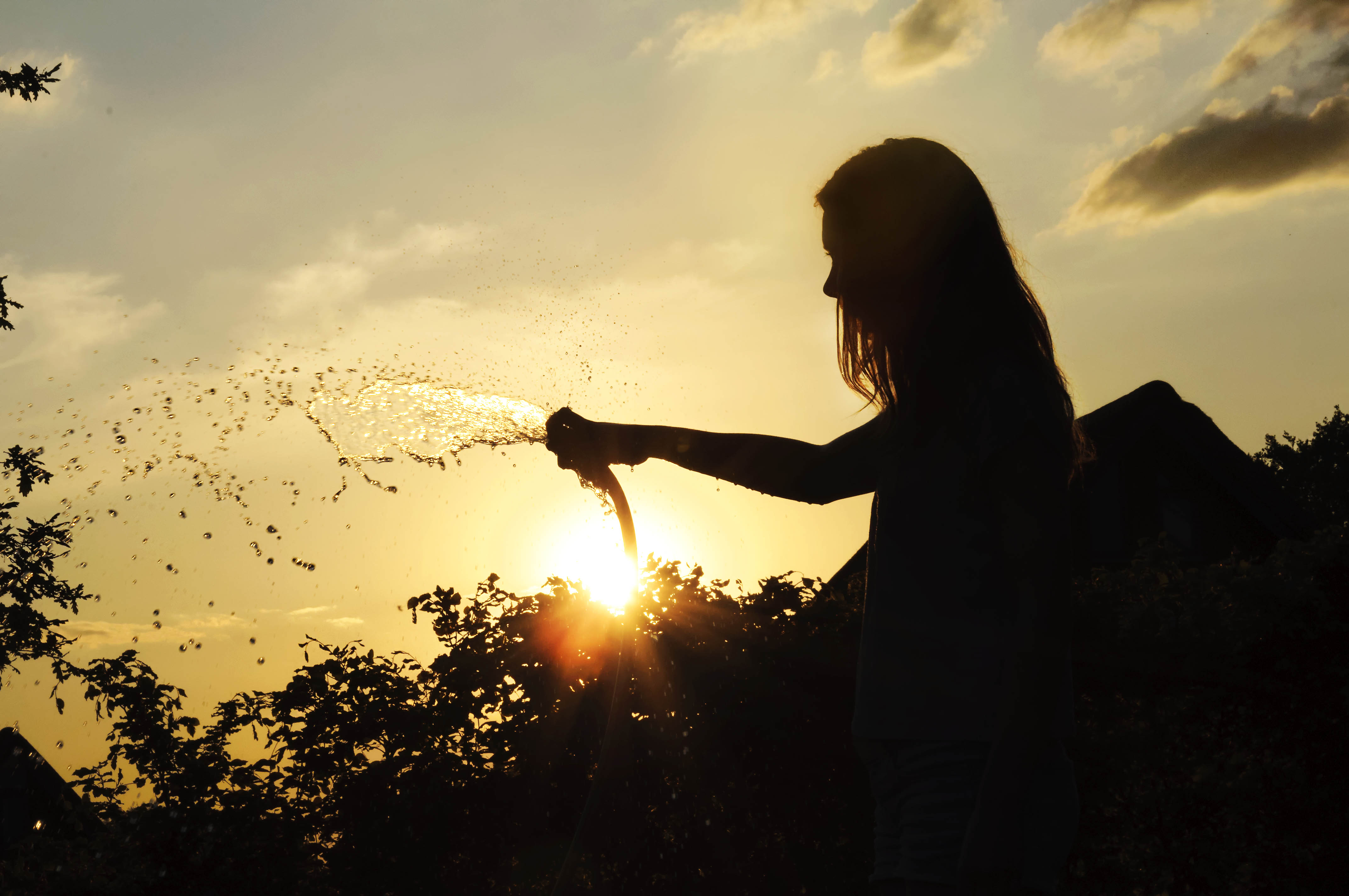 waterpret-bij-ondergaande-voorjaarszon