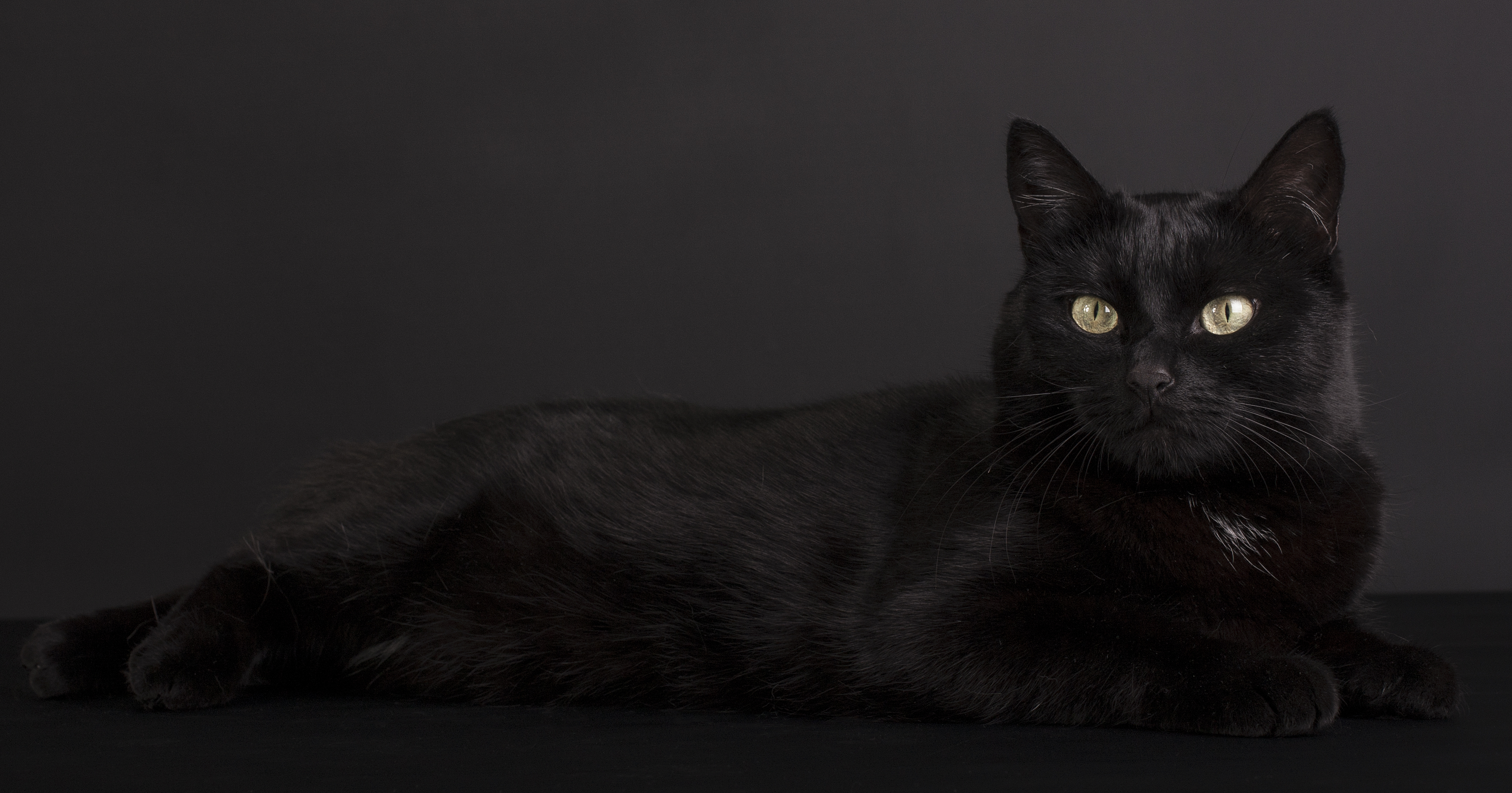 black-can-be-colorful