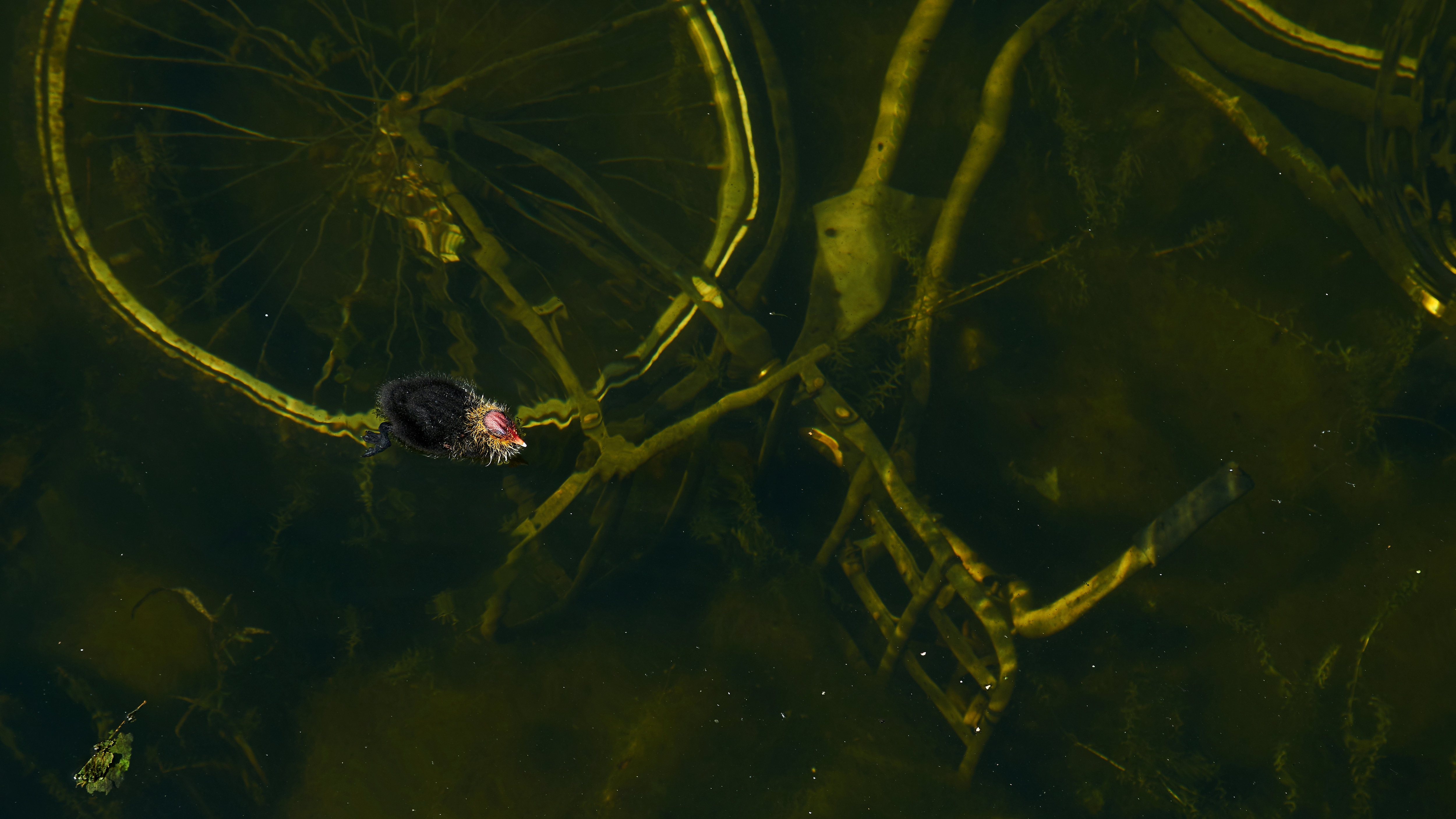 voorjaar-de-fietsen-komen-weer-tevoorschijn