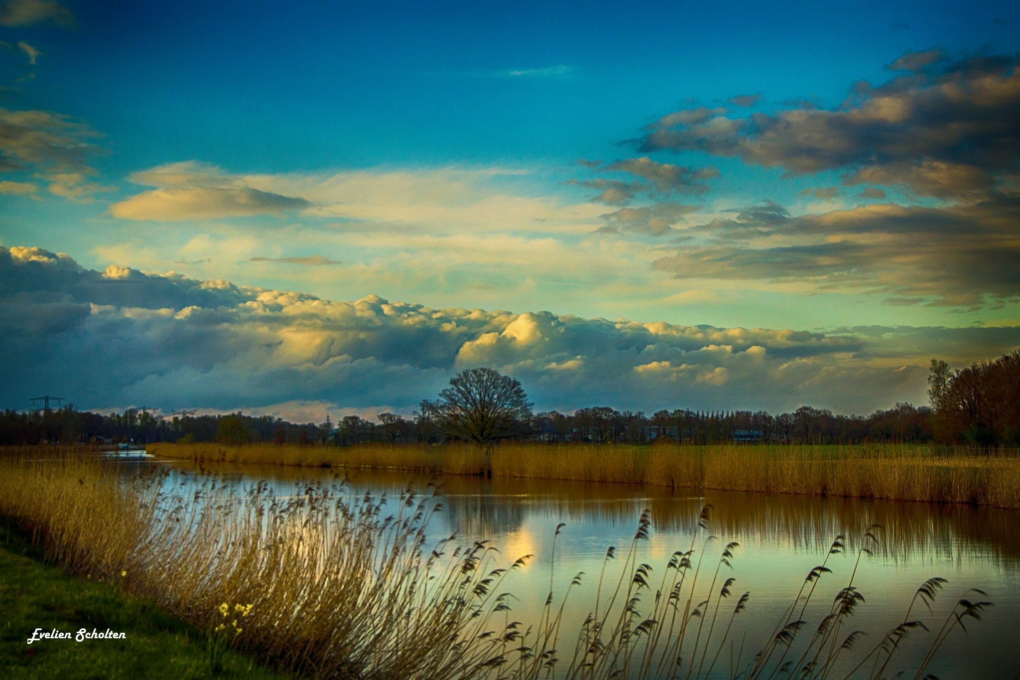waterkant-1