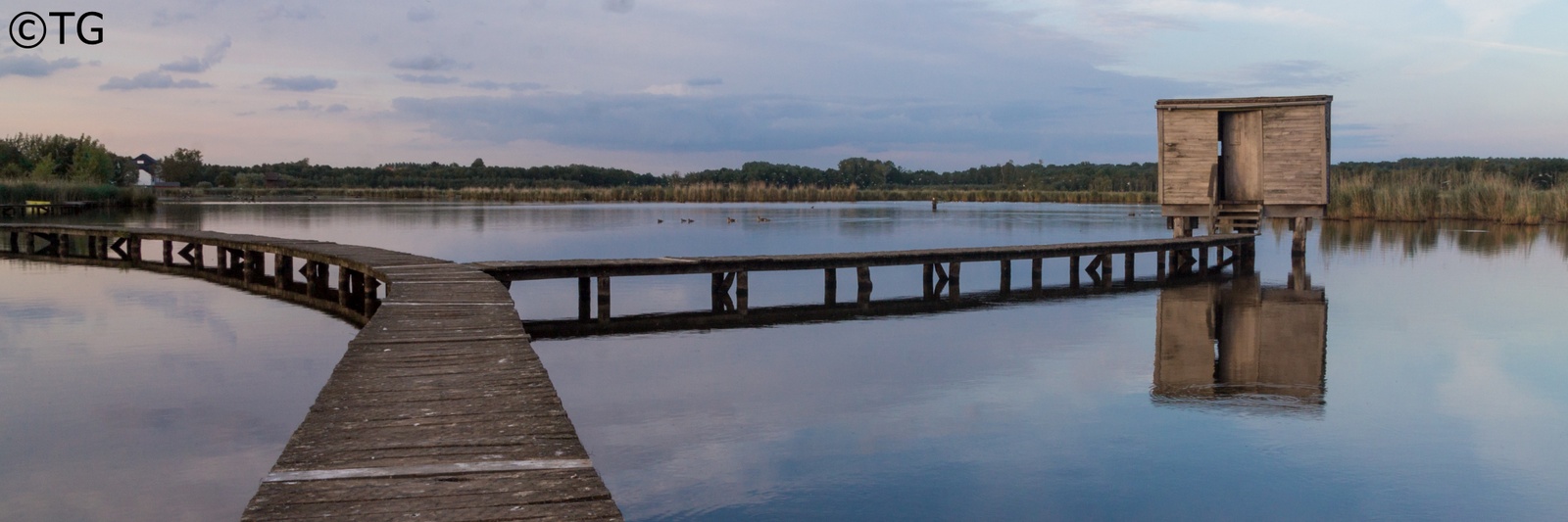 het-vinne-zoutleeuw-1