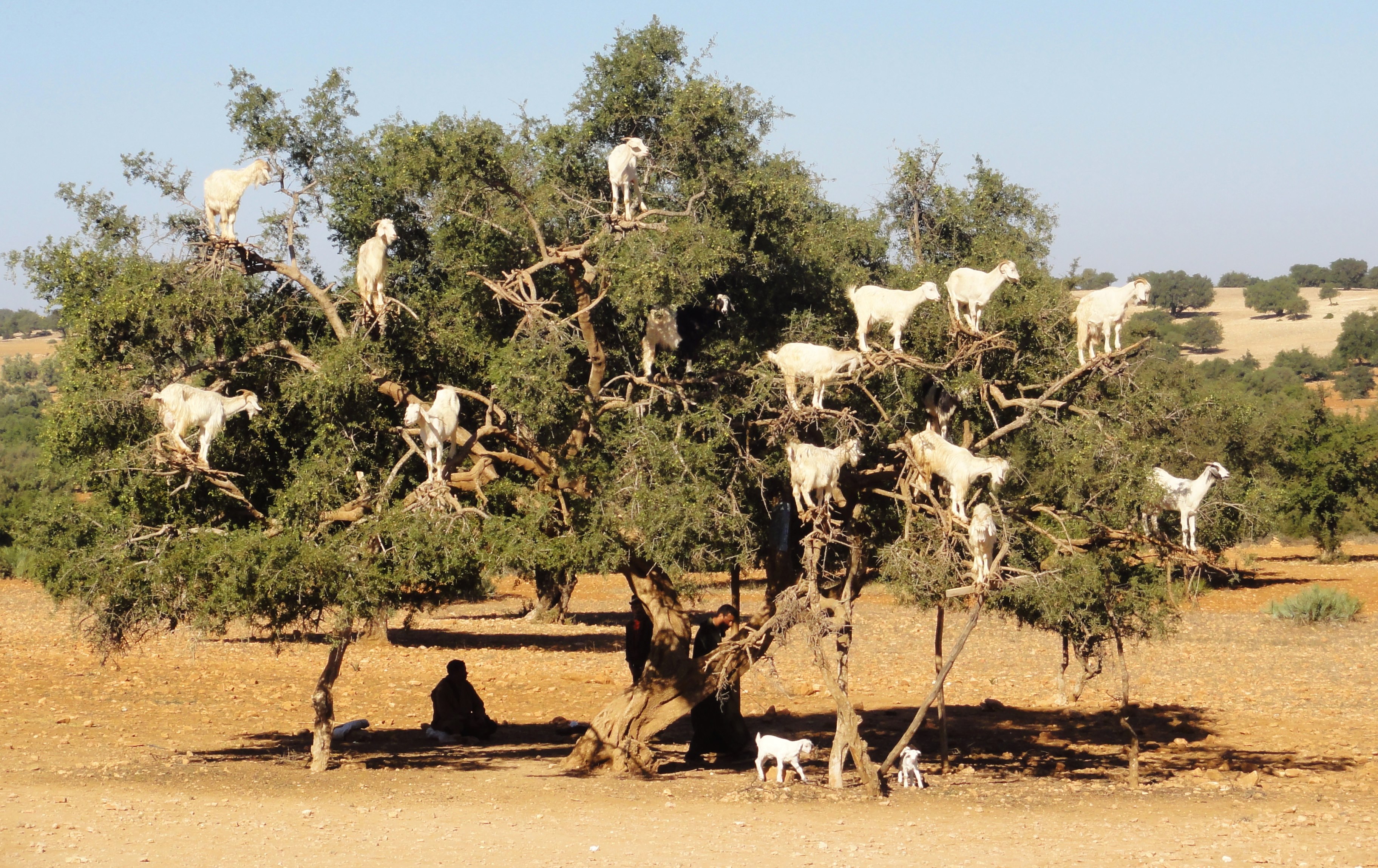 lente-doet-iets-met-je-geldt-ook-voor-dieren
