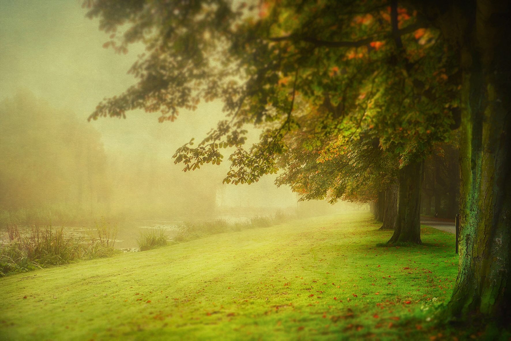 misty-morning-13