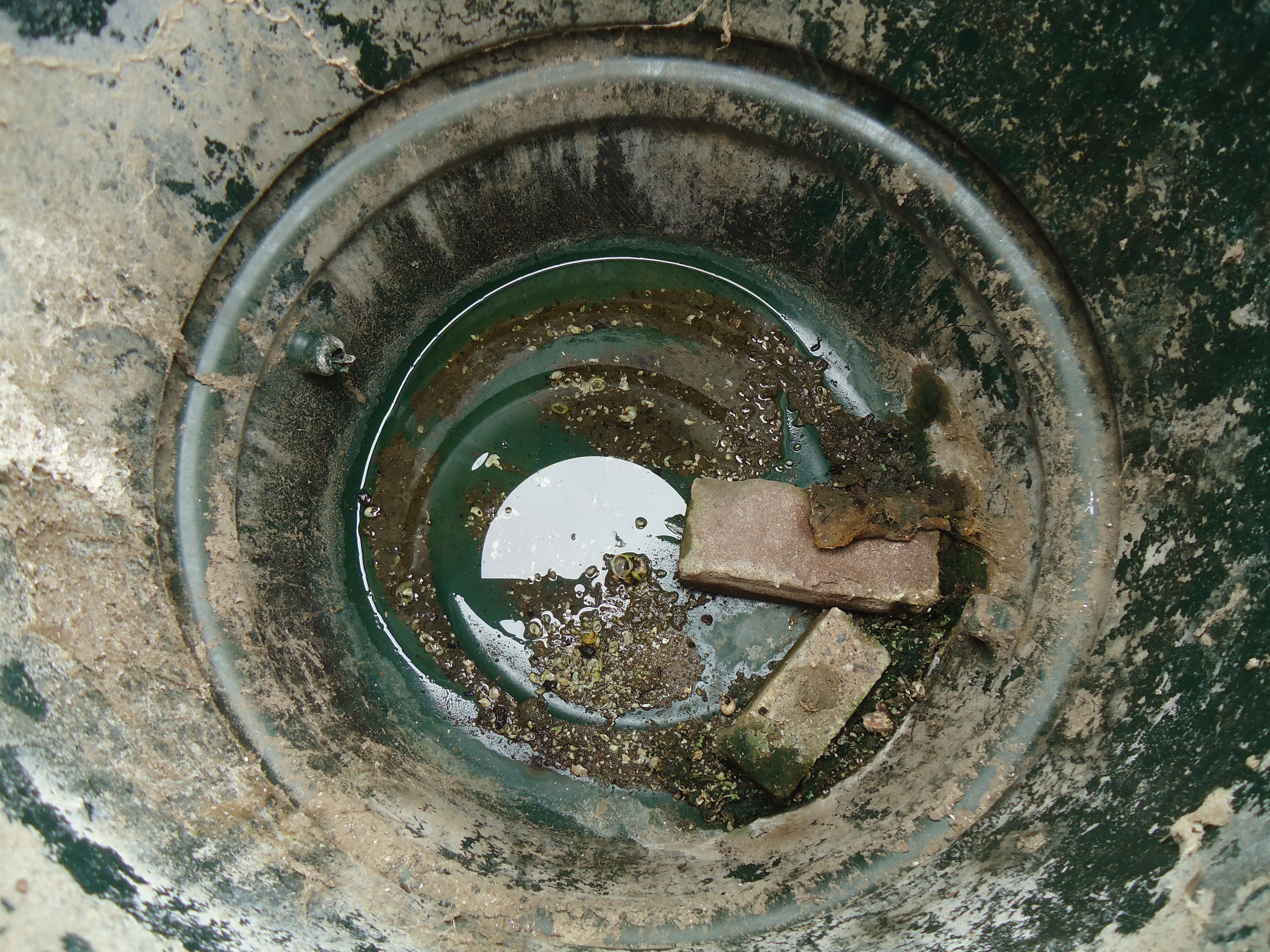 regenton-op-de-volkstuin