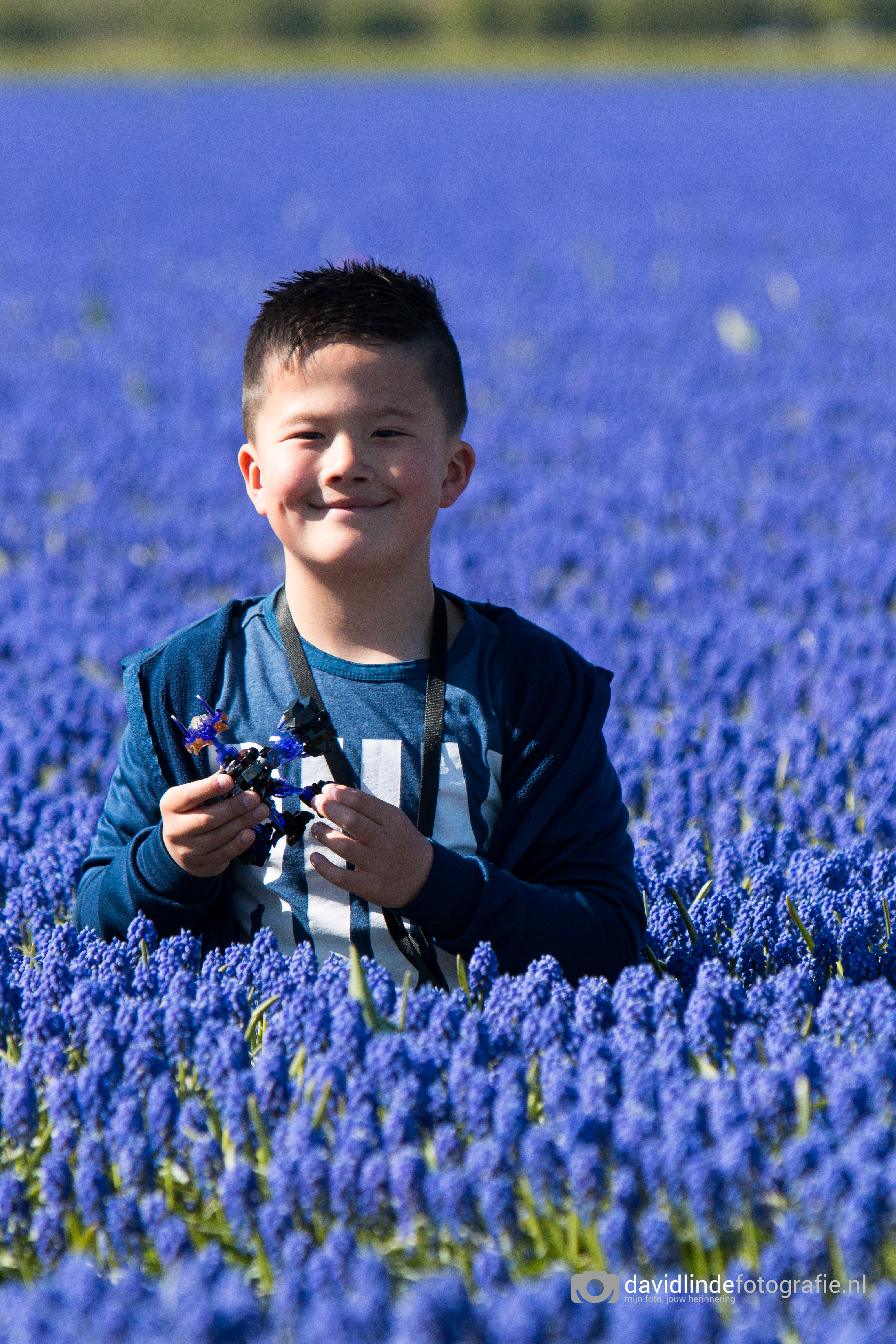tussen-de-blauwe-bloemen
