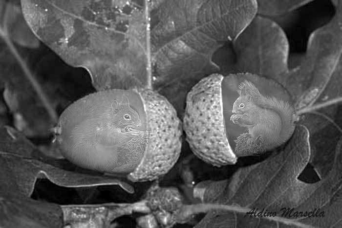lekker-voor-de-winter