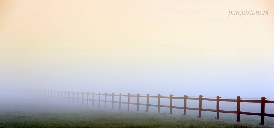 weiland-in-de-ochtend