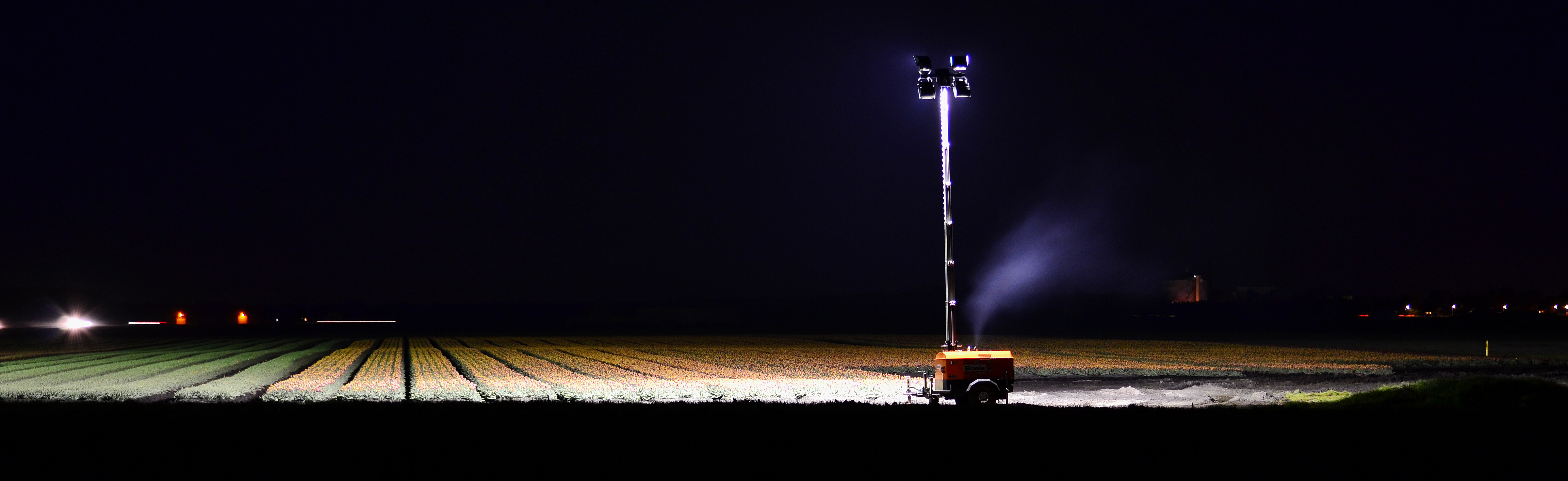 tulpenpracht-bij-nacht