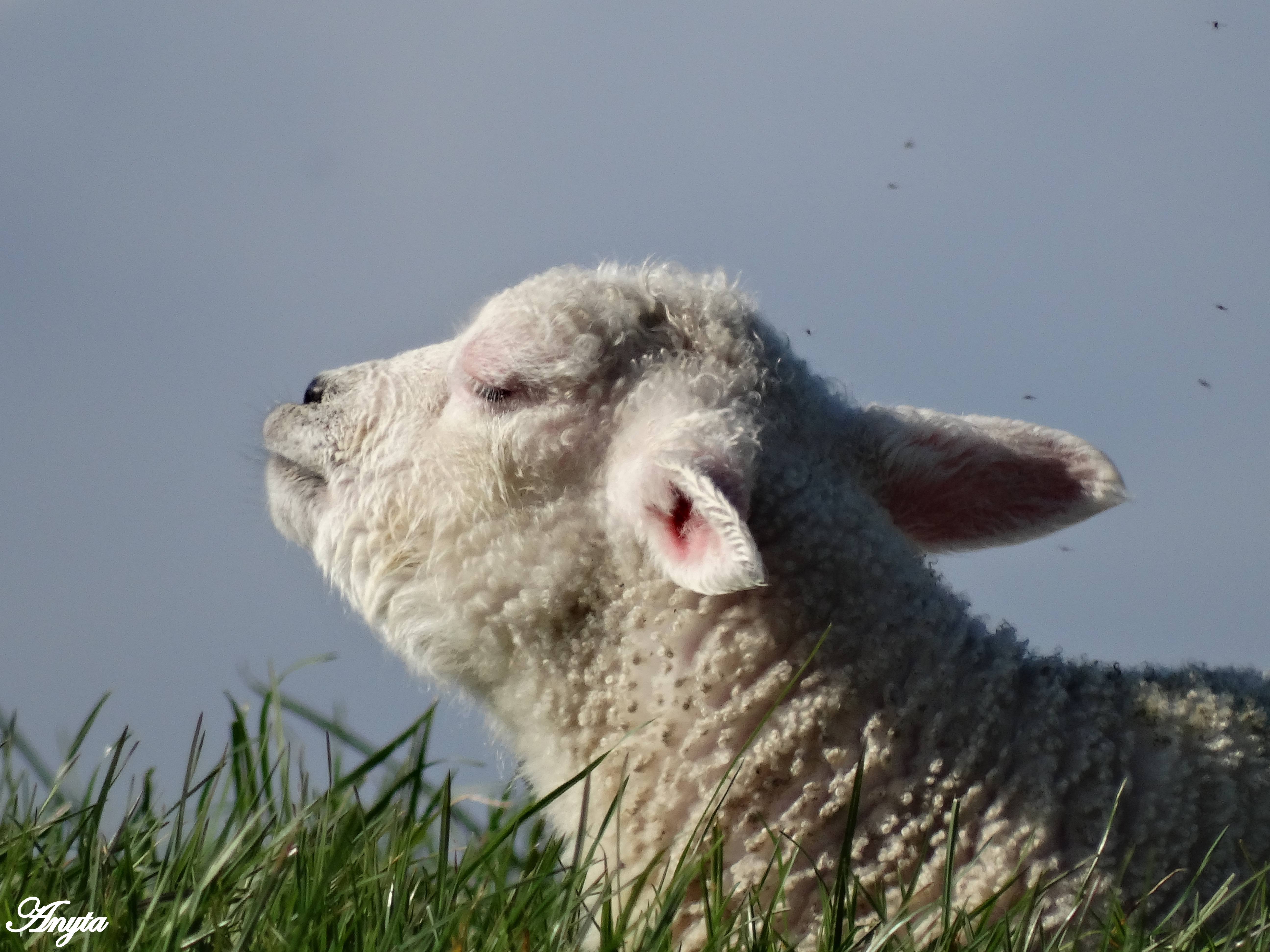 genieten-van-het-voorjaar