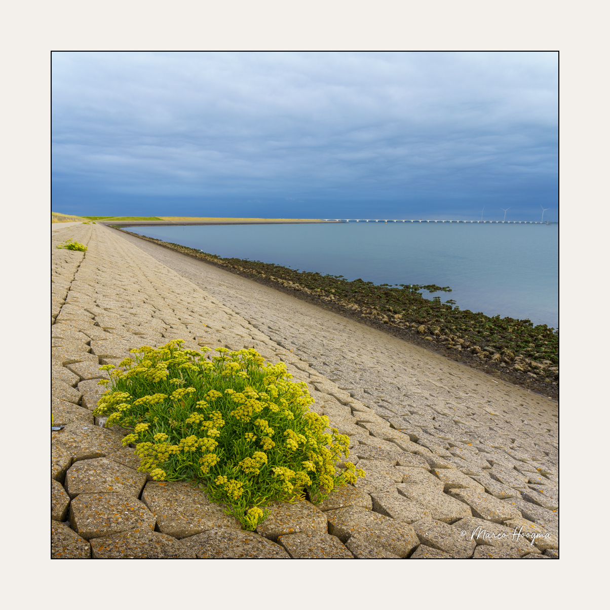 zierikzee-schouwen-duiveland-nederland