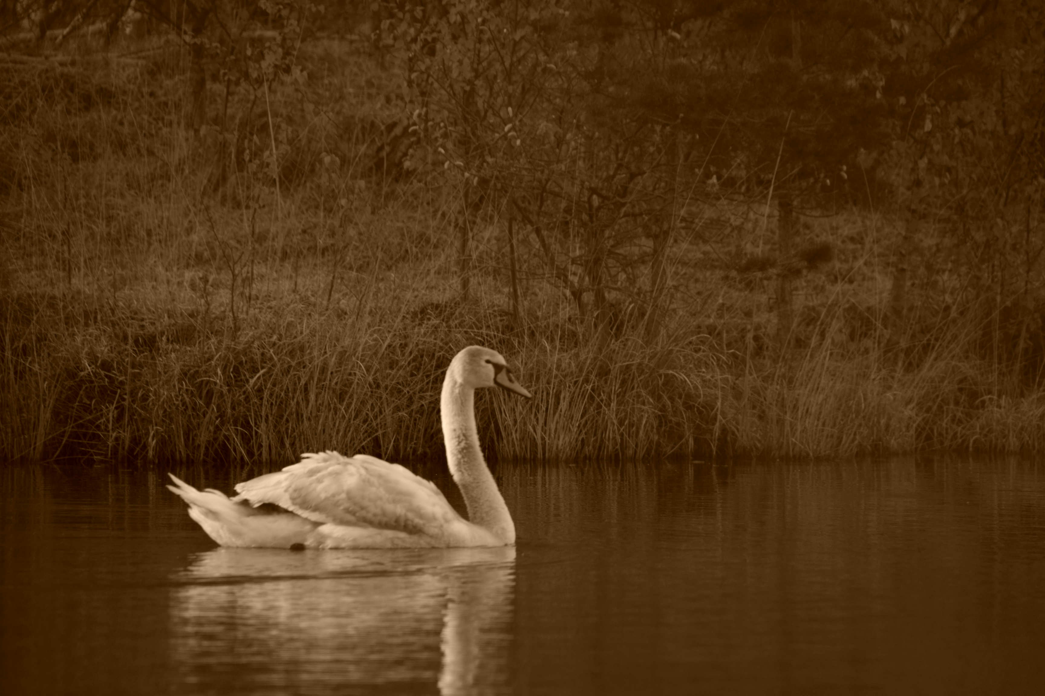 even-weg-van-mannetjes-gedrag