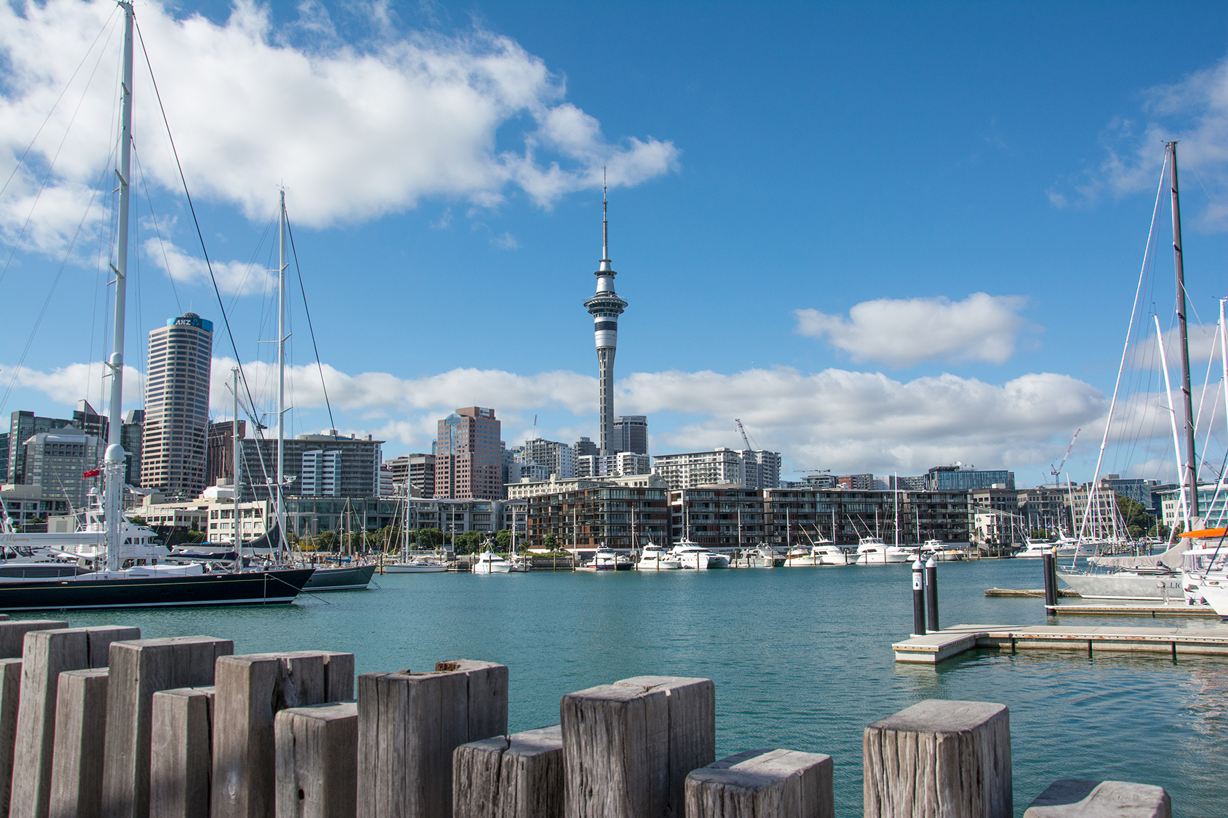 auckland-1