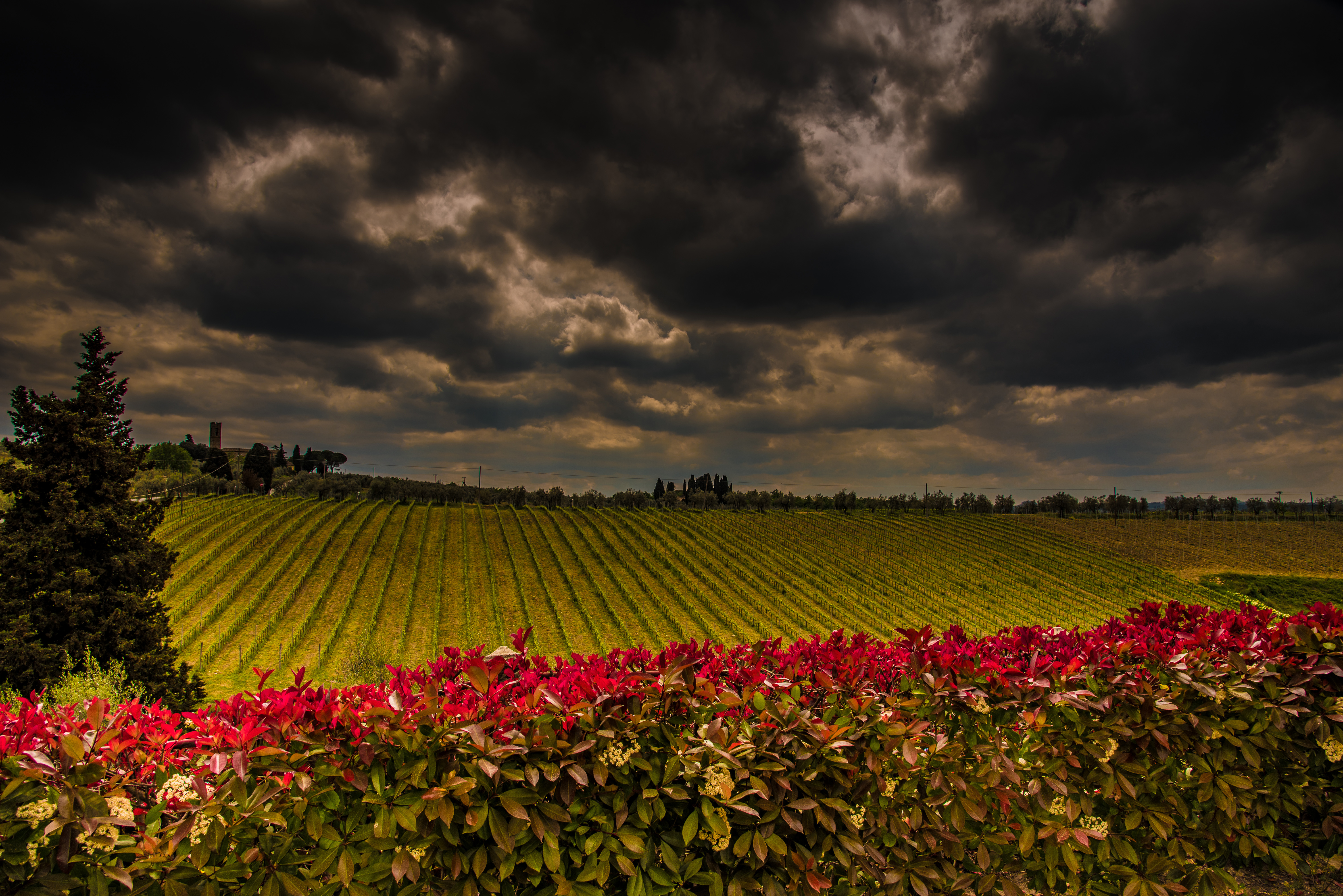 een-mooie-bewolkte-dag-in-de-wijngaard-in-toscane