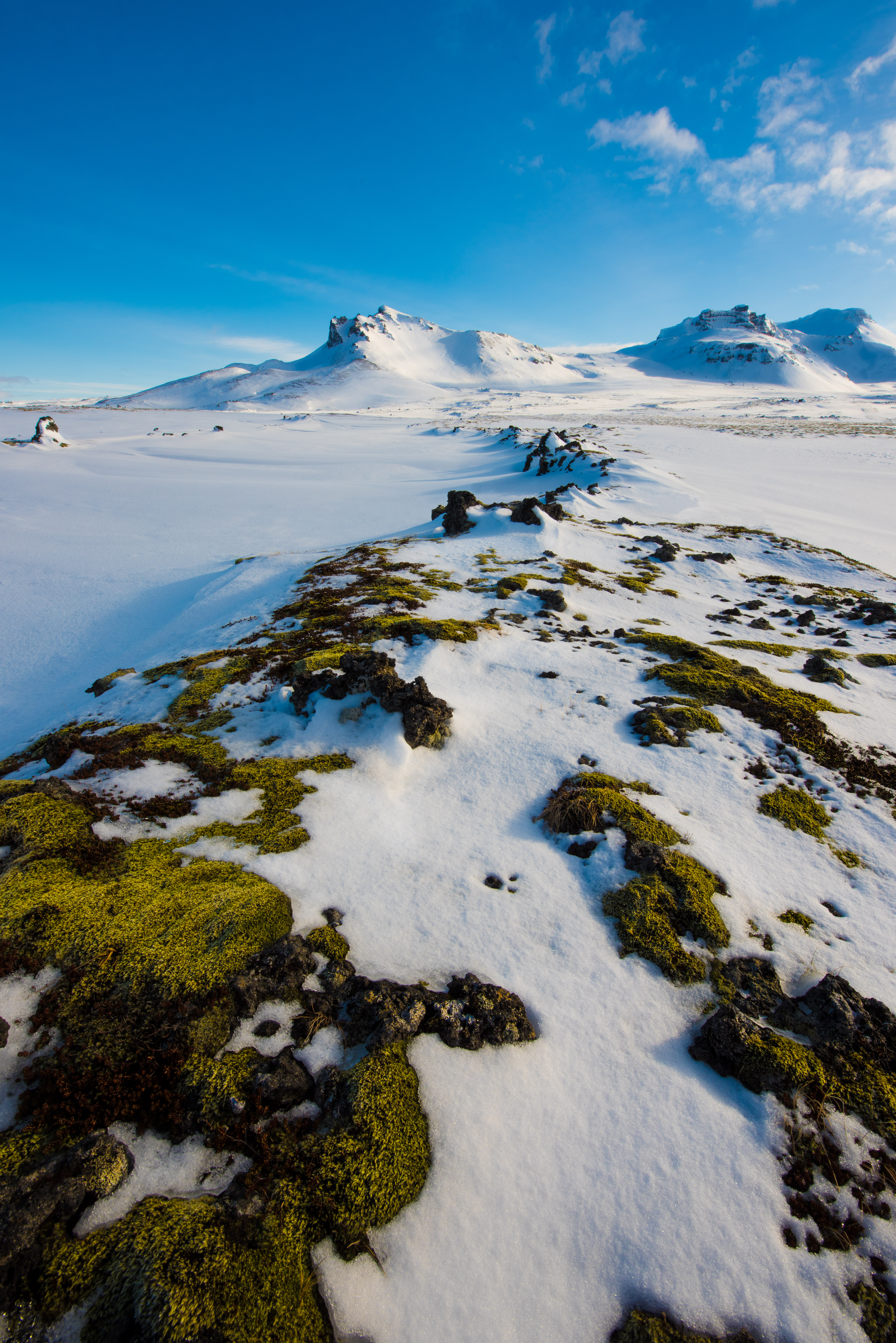 ook-in-ijsland-wordt-het-voorjaar