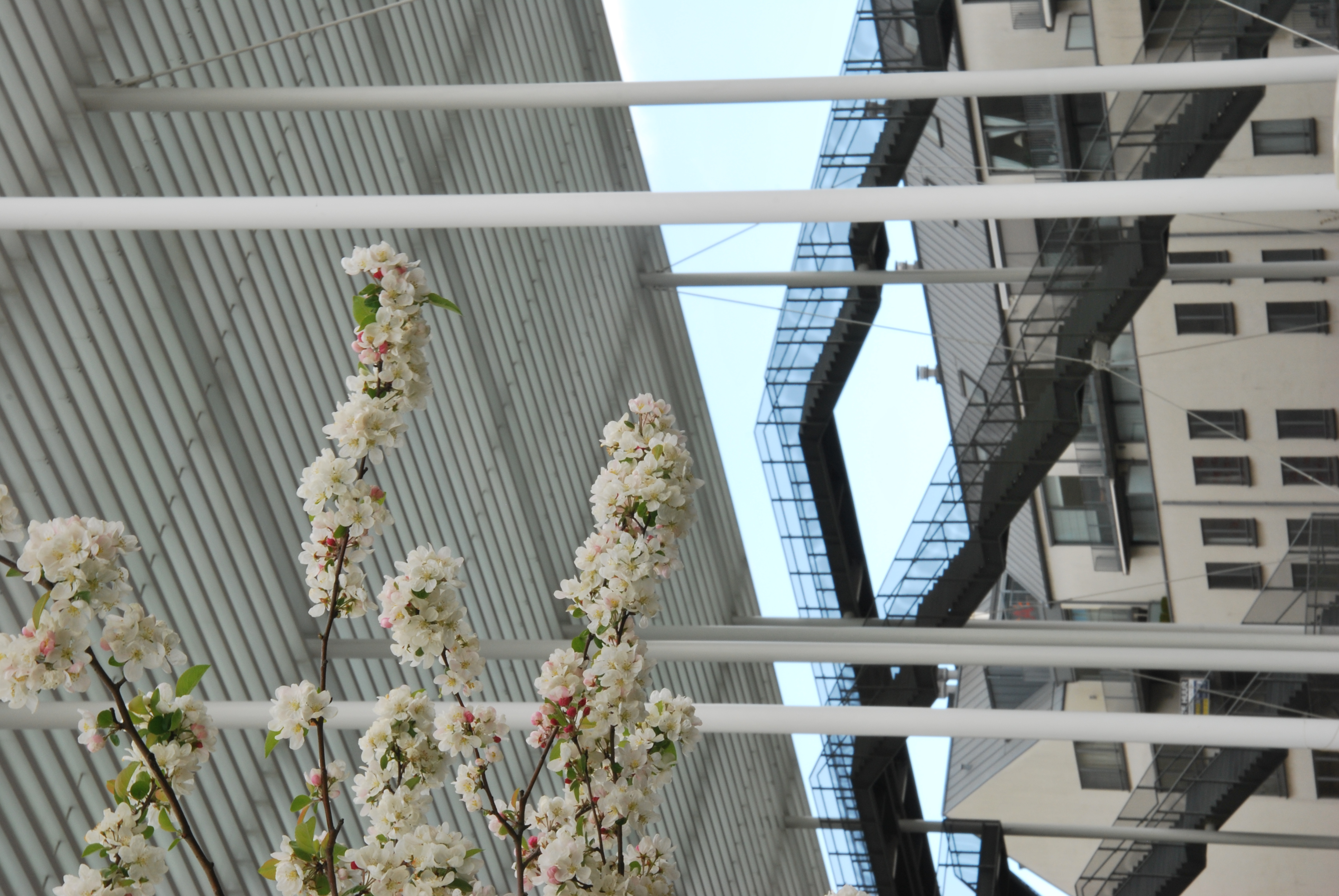 theaterplein-in-bloei