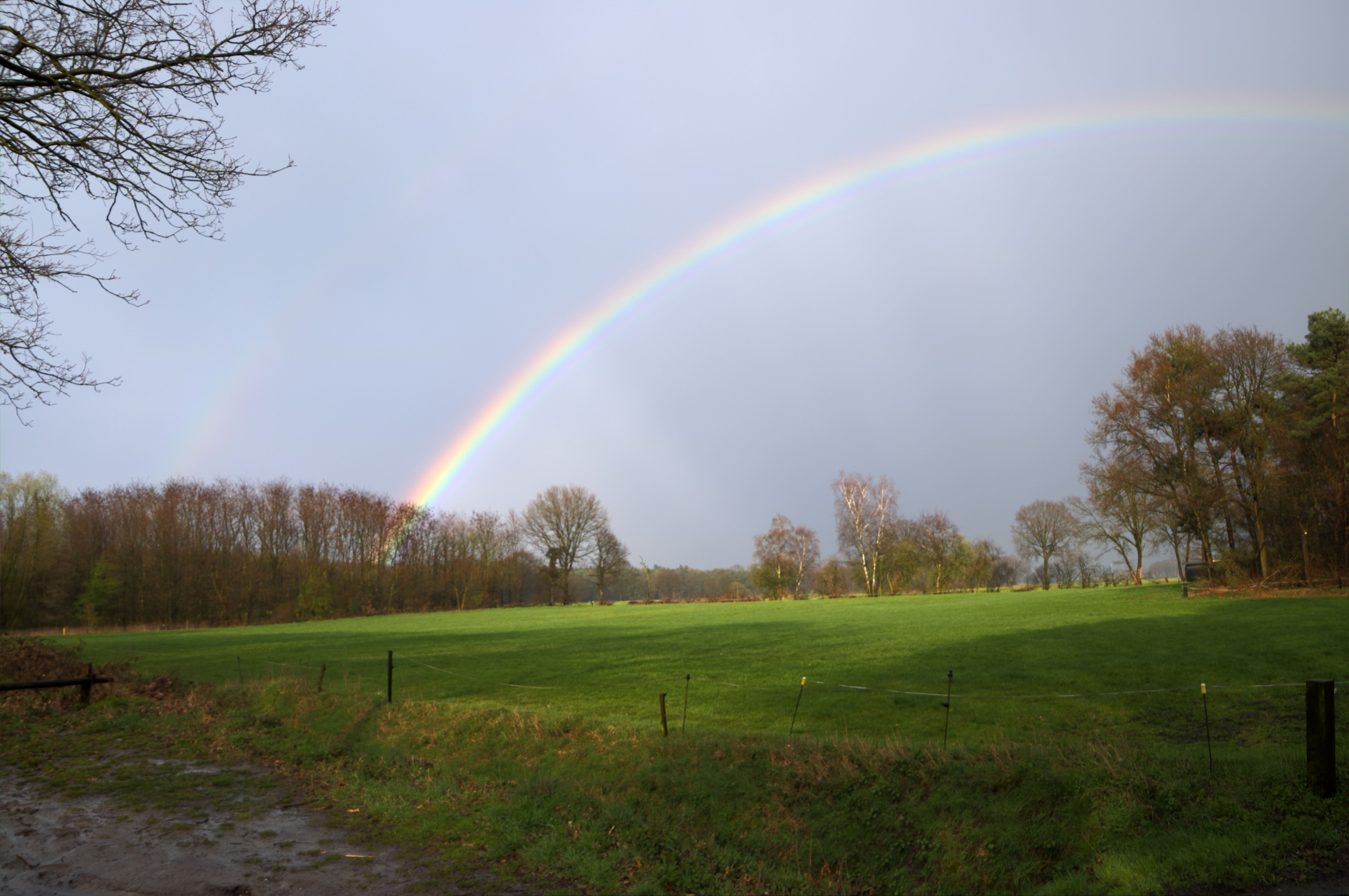 dubbele-regenboog