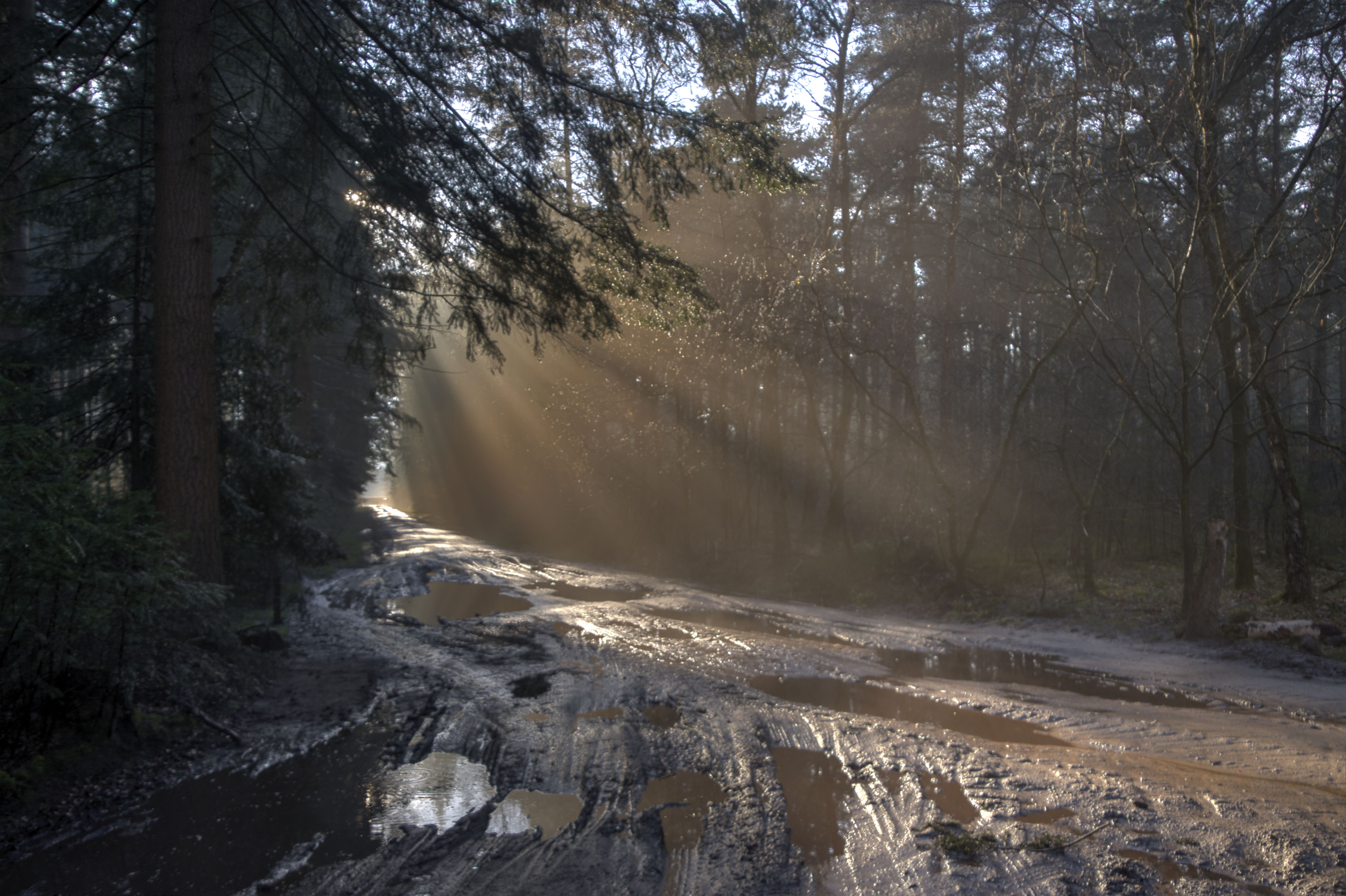 na-regen-komt-zonneschijn-4
