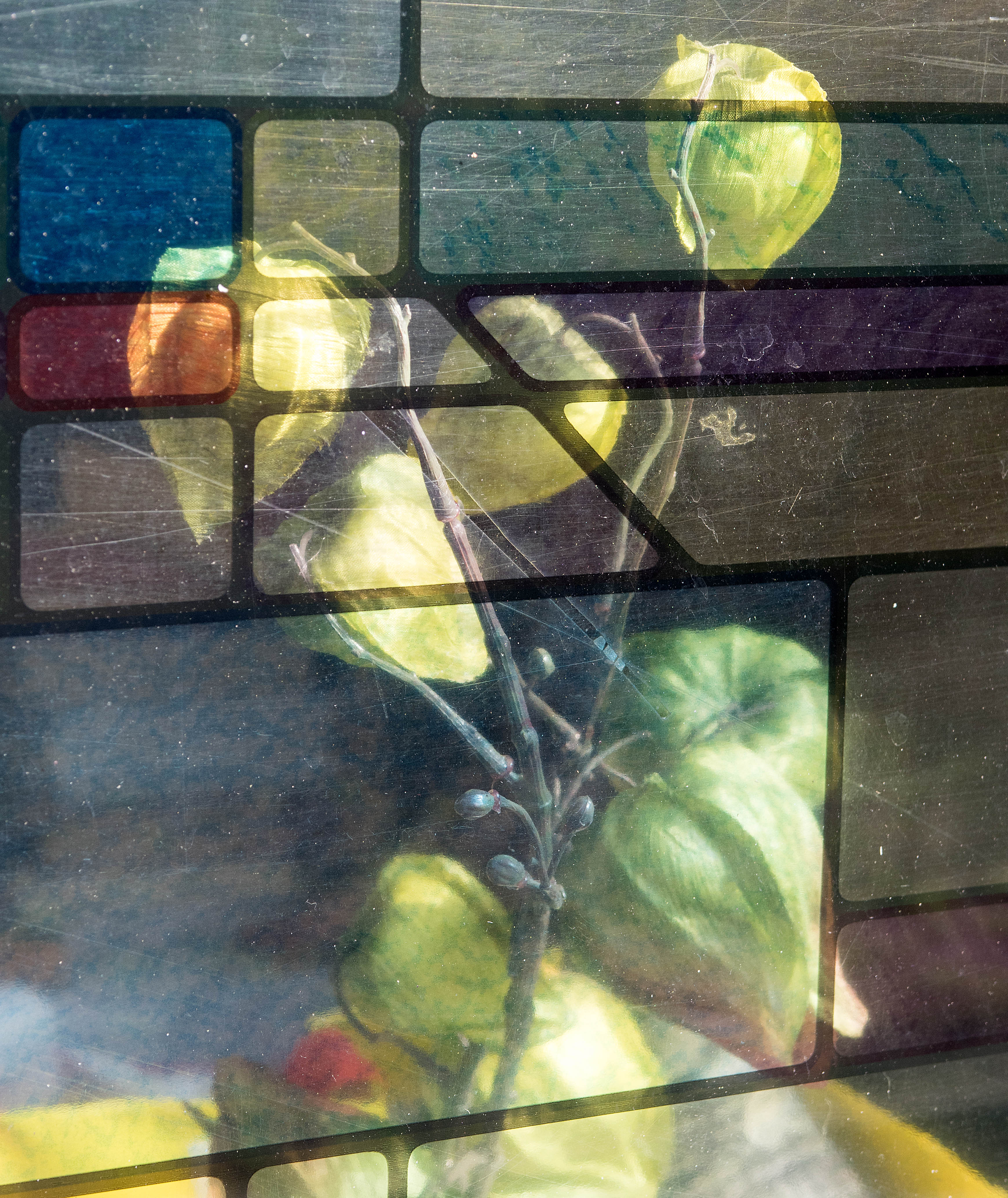 mondriaan-bloemen-achter-glas-in-lood