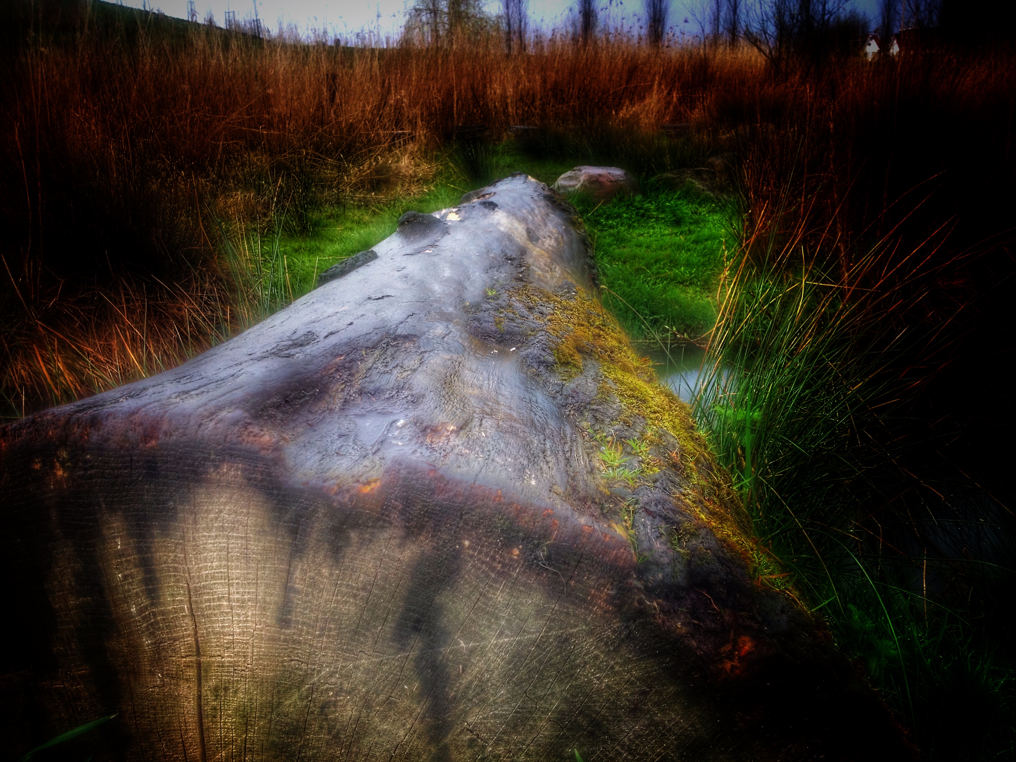 stronk-serie-iphone-specials