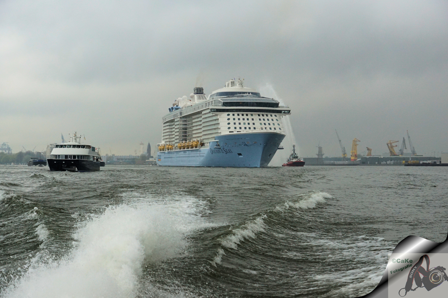 welkom-ovation-of-the-seas