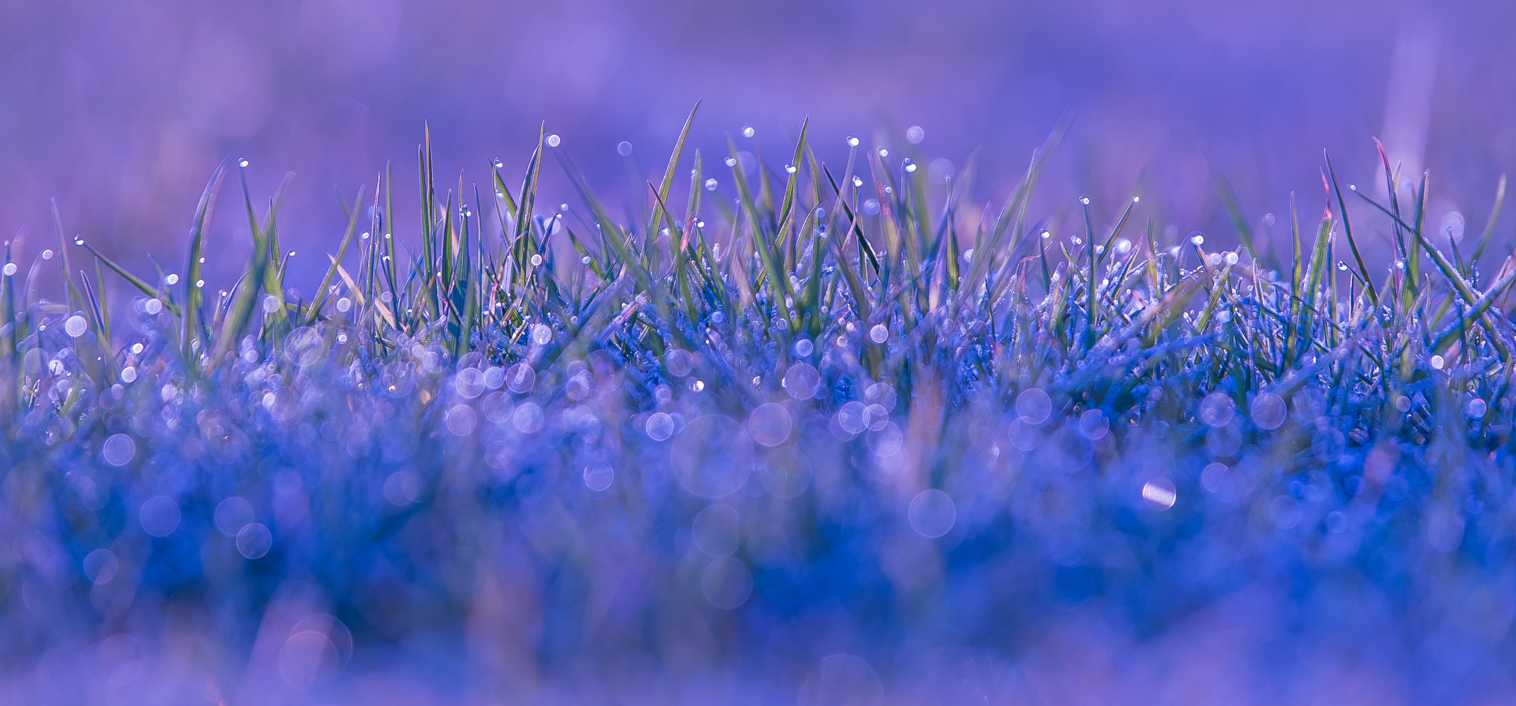 spotlight-weekwinnaar-14-2016