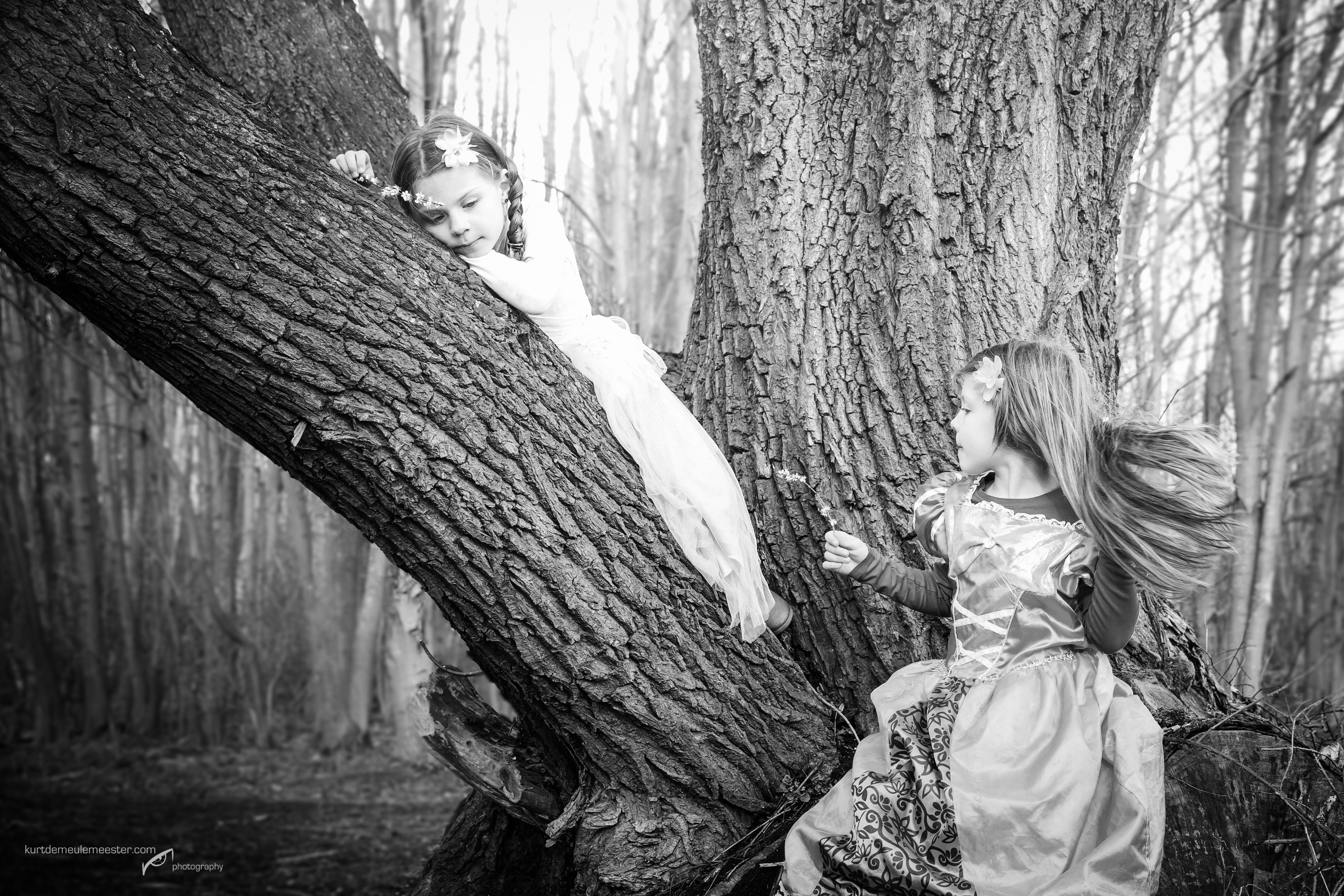 awakening-spring-princesses