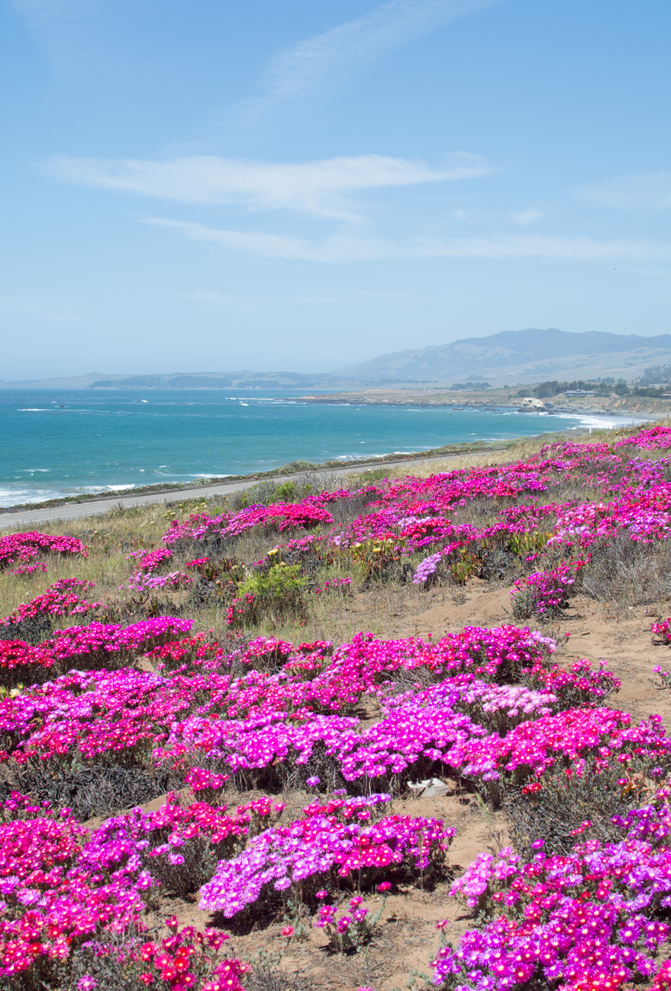 lente-in-californi%C3%AB