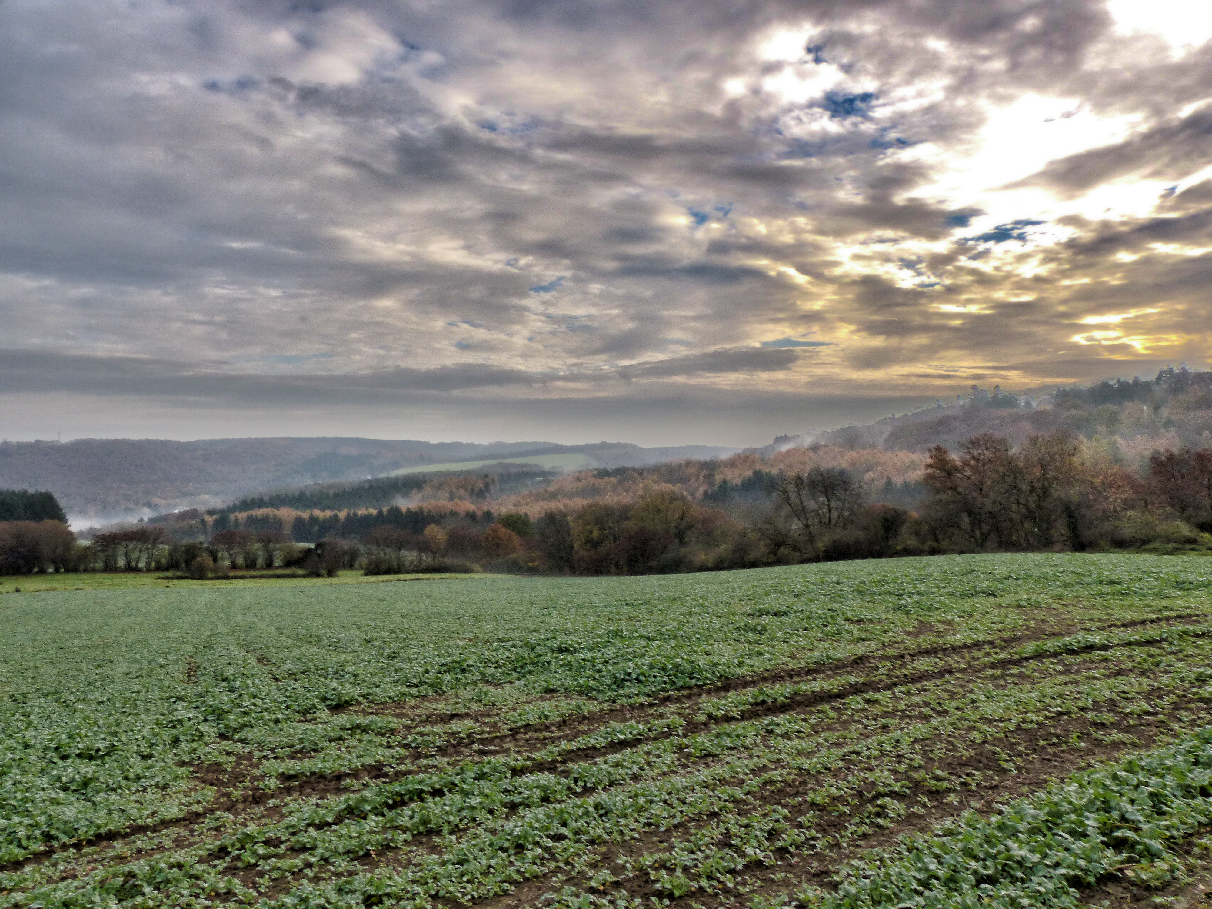afscheid-van-de-winter