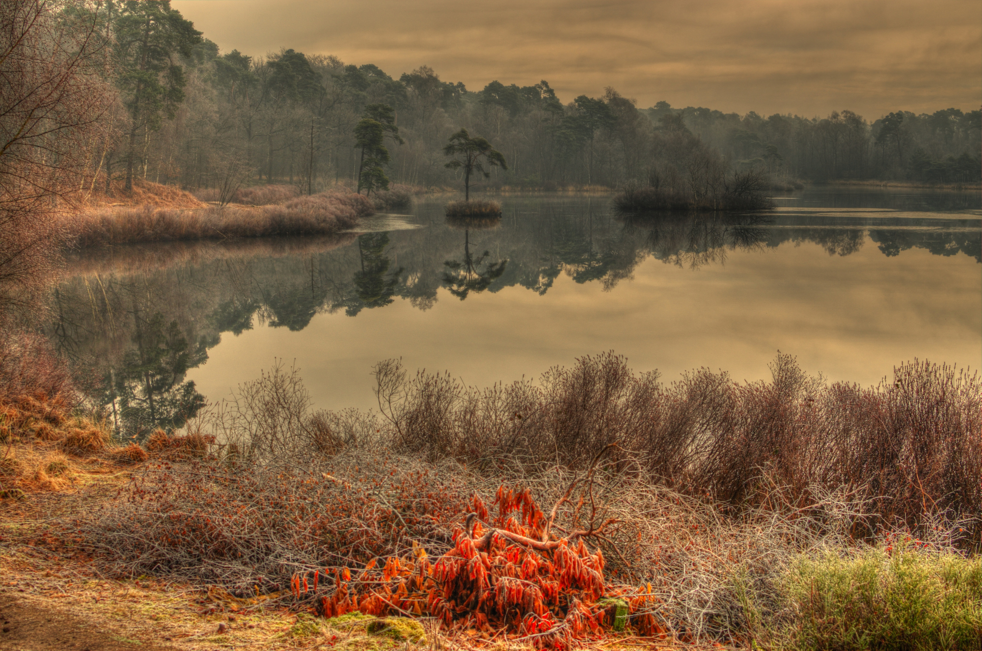 spotlight-weekwinnaar-13-2016