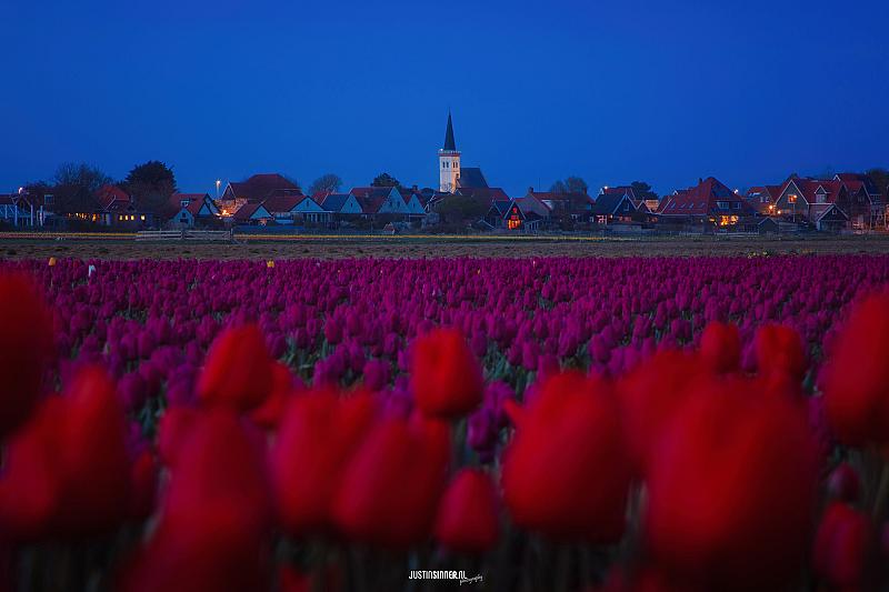 blauwe-uurtje-op-texel-0