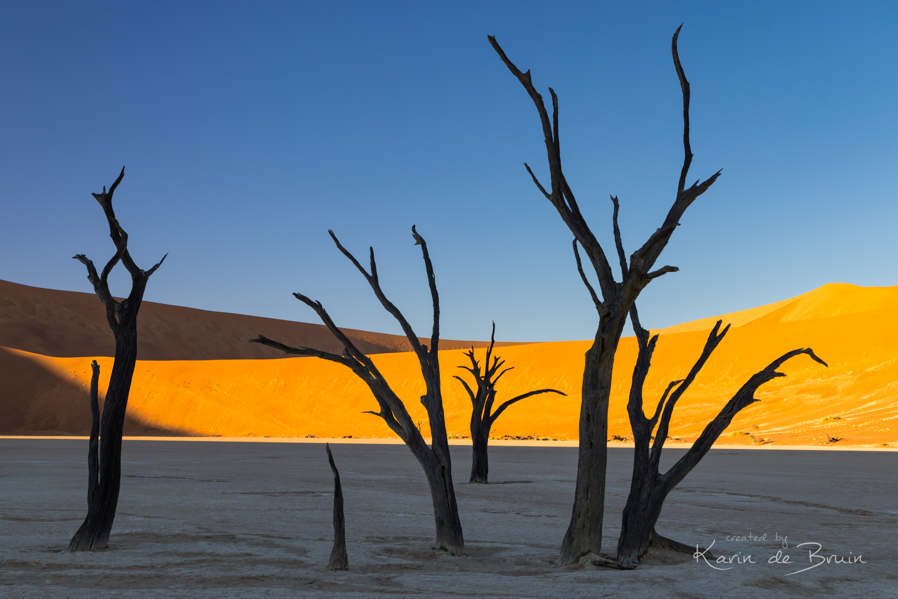 the-dead-marsh