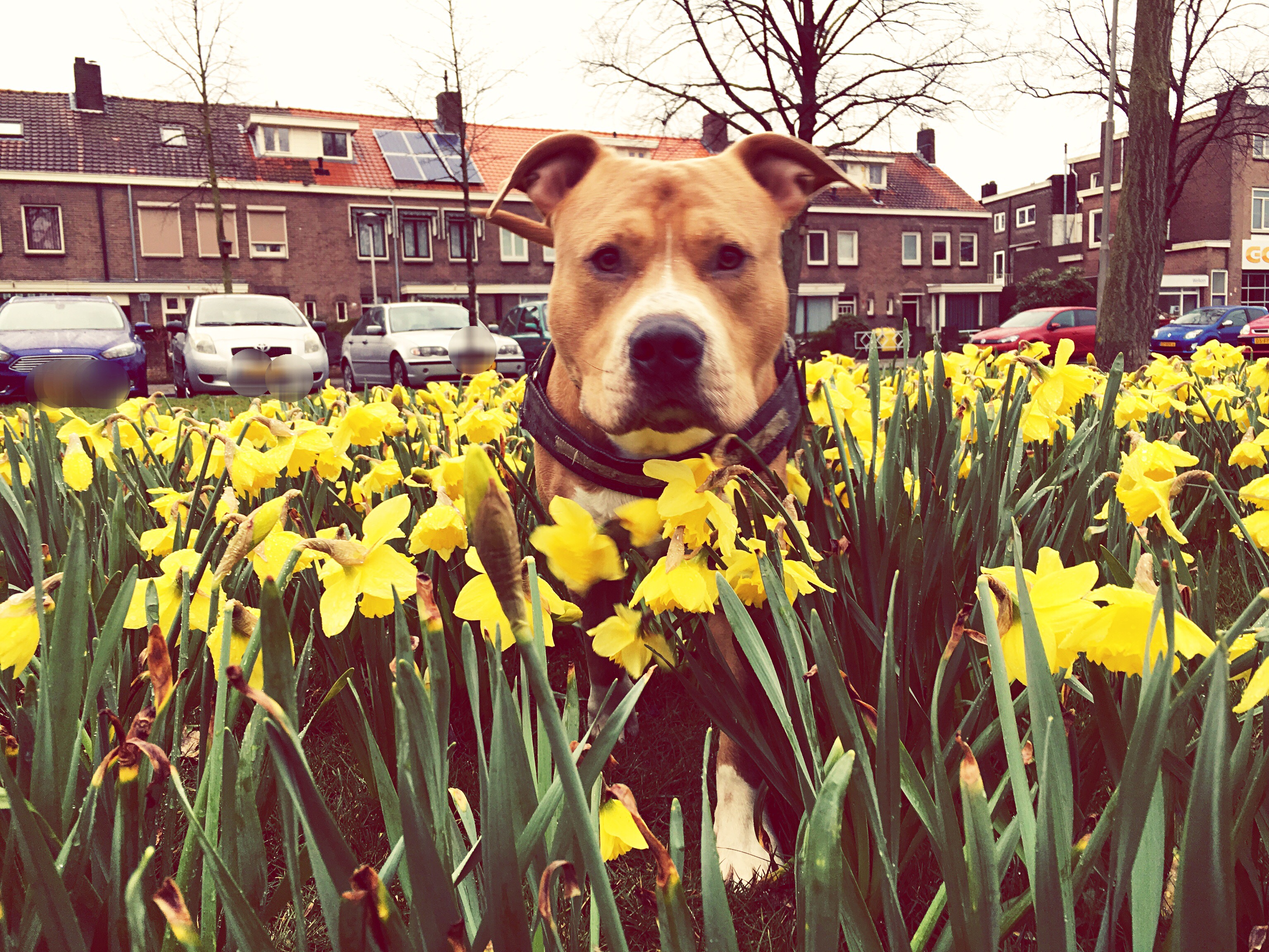 easter-ready-urban-spring