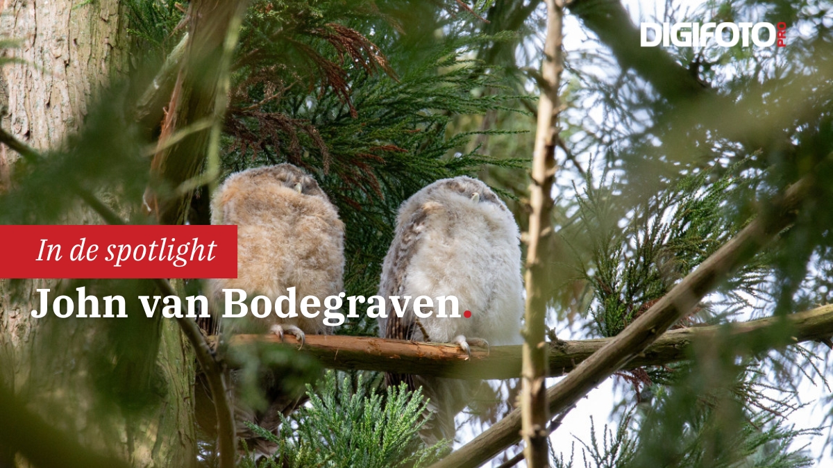 spotlight-van-de-week-17-digifoto-pro-gallery-0