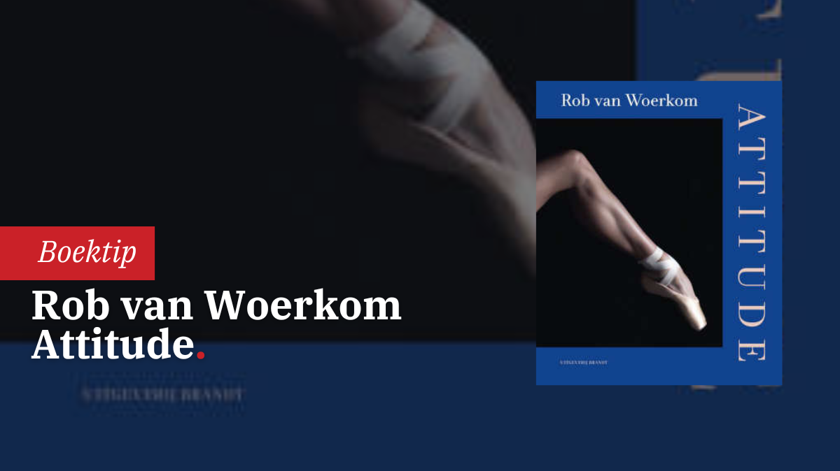 attitude-van-rob-van-woerkom