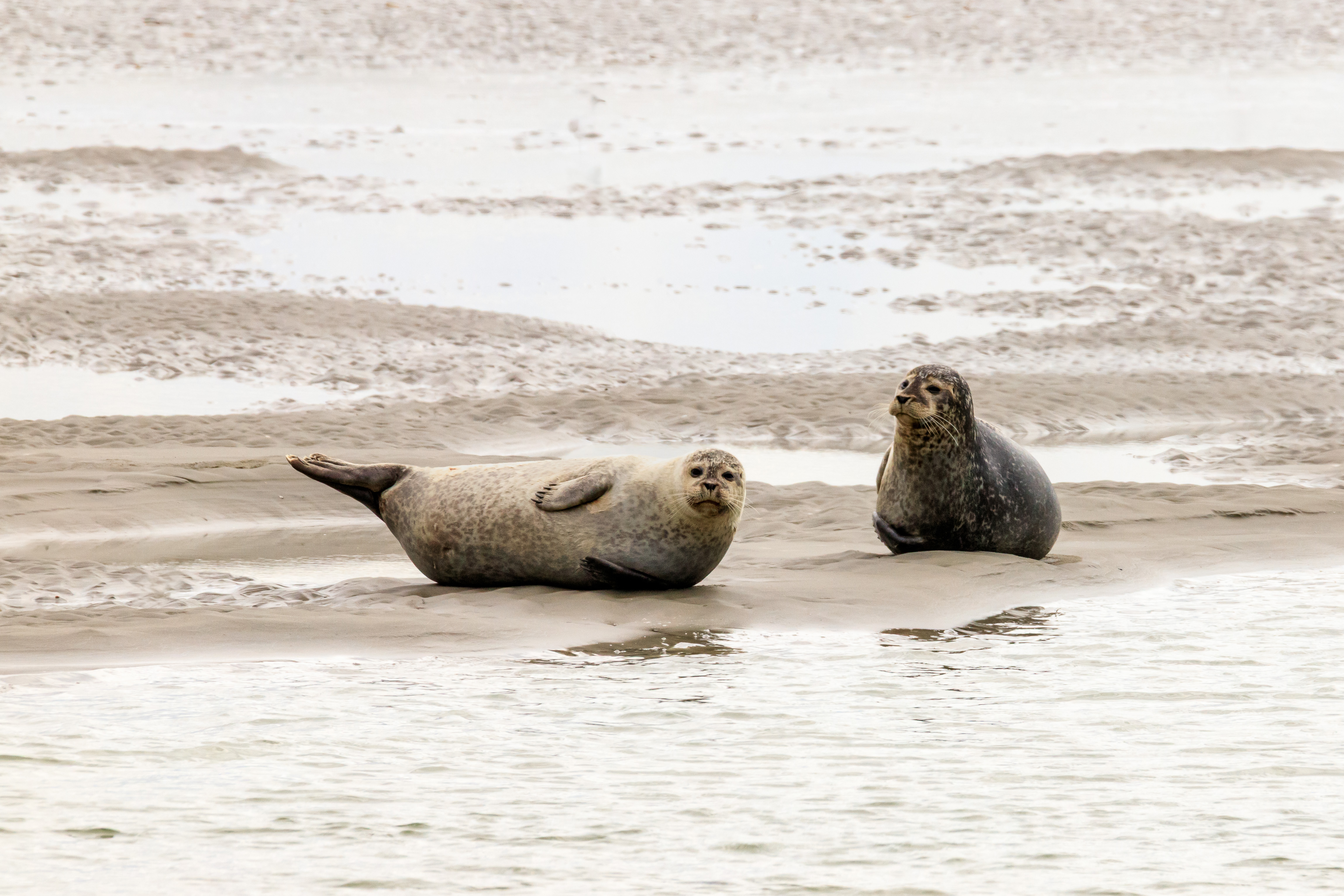 lekker-samen-aan-het-strand