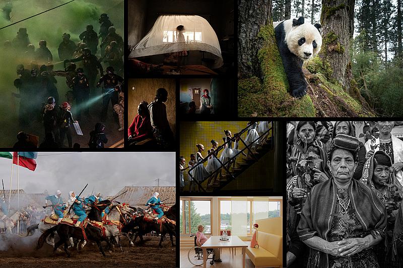 world-press-photo-2026-beelden-die-raken