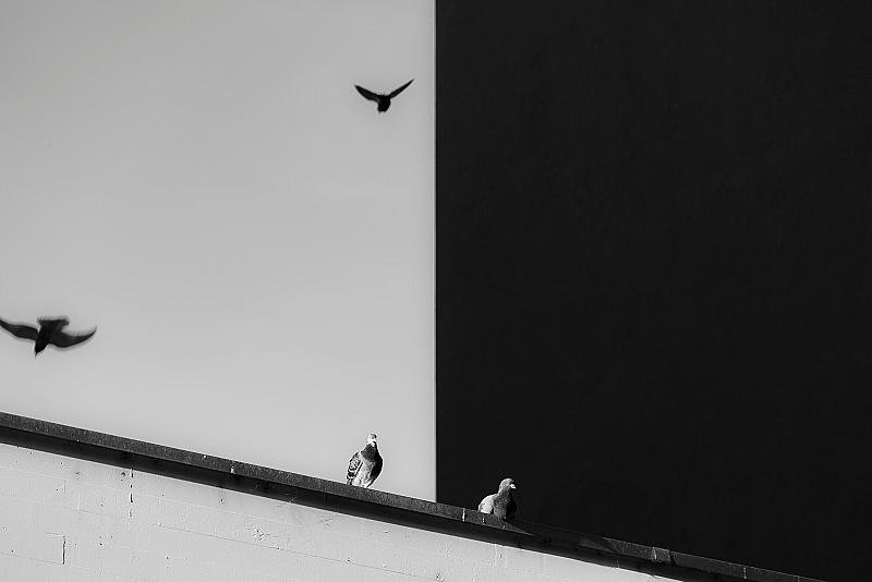 contrast-in-fotografie-dit-gaat-vaak-mis
