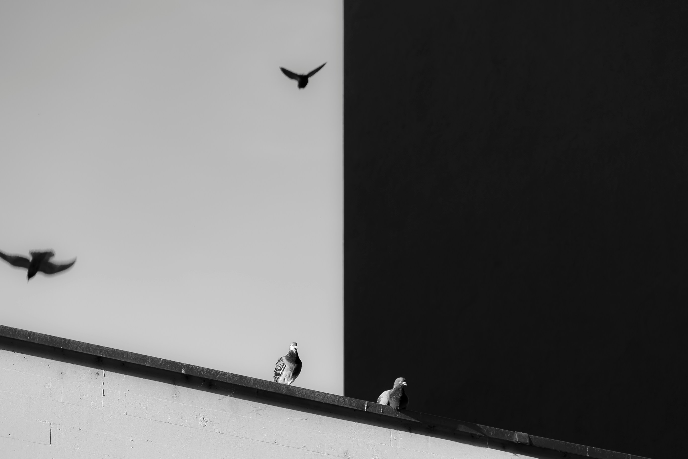 contrast-in-fotografie-dit-gaat-vaak-mis