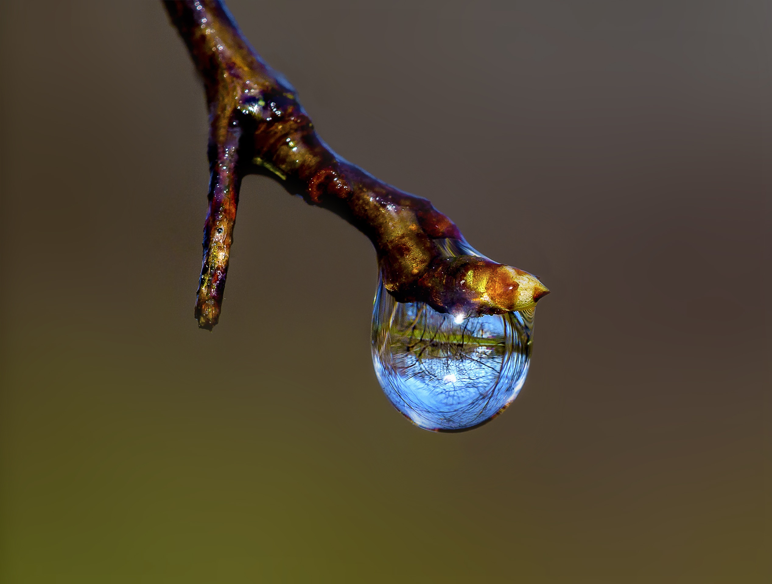 lente-in-een-druppel