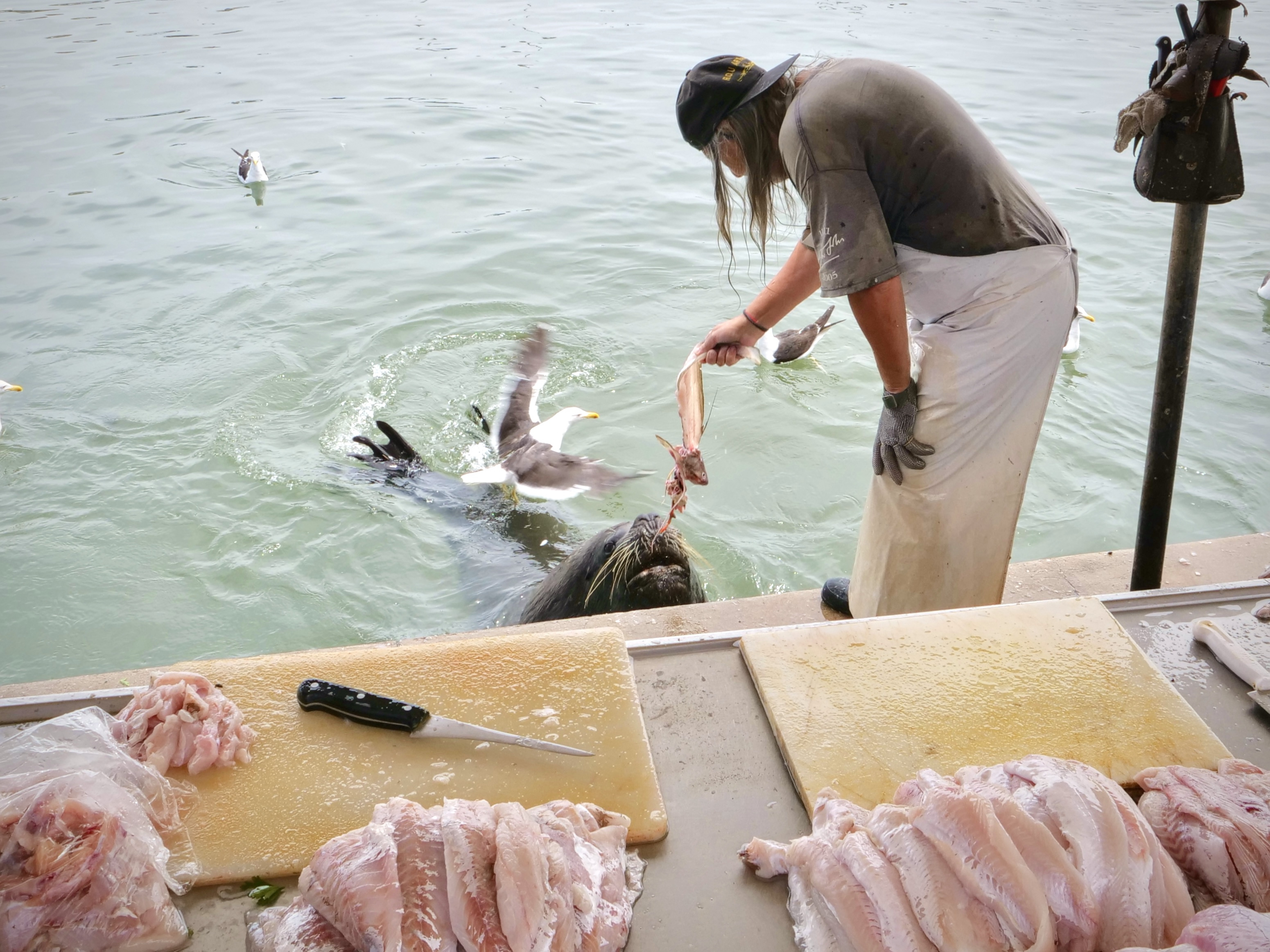 living-together-with-local-fishermen-ii