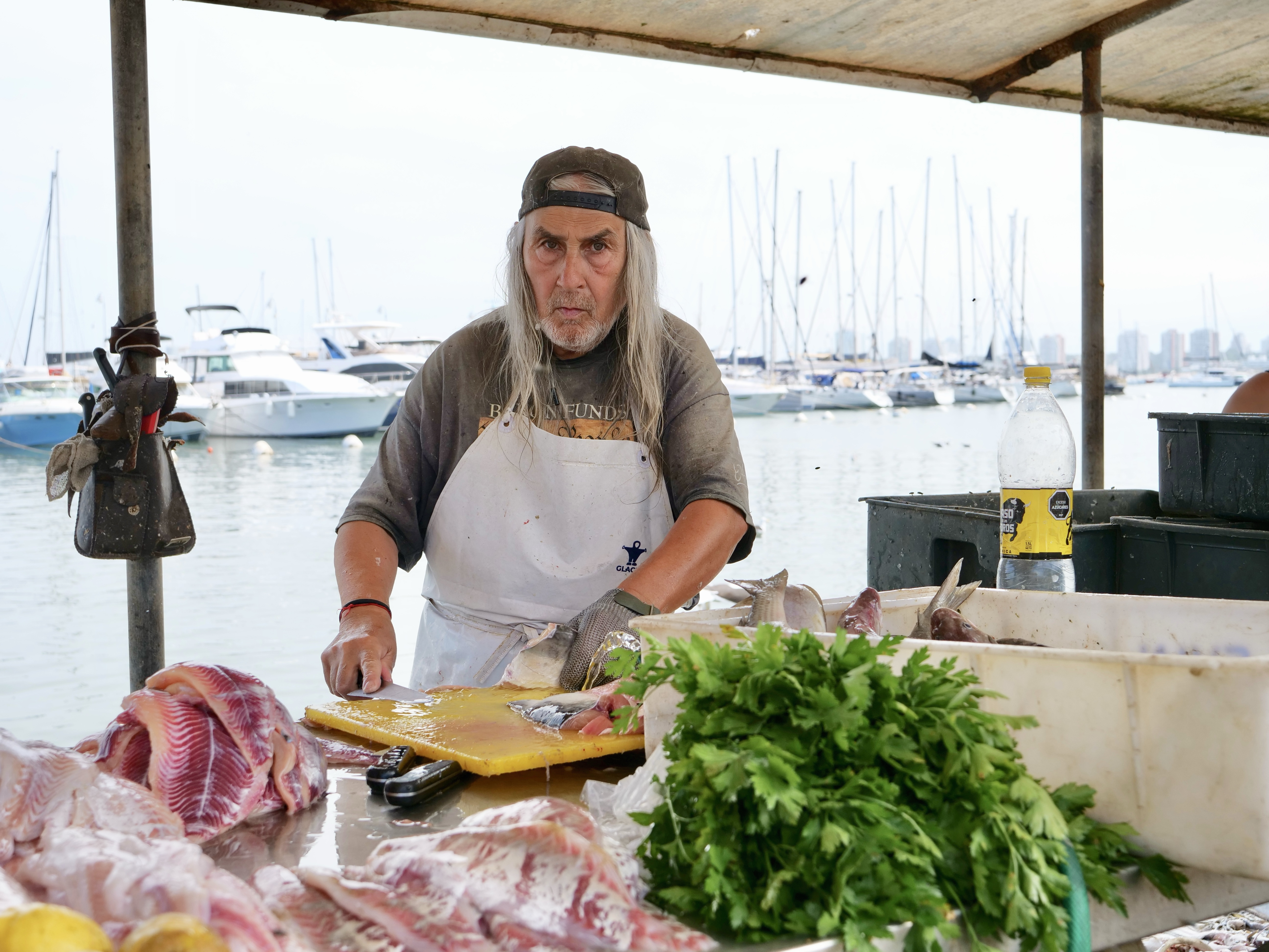 local-fisherman-i