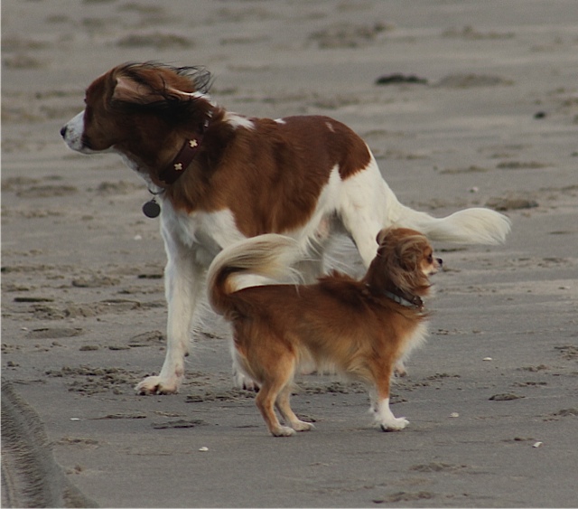 samen-staan-we-sterk