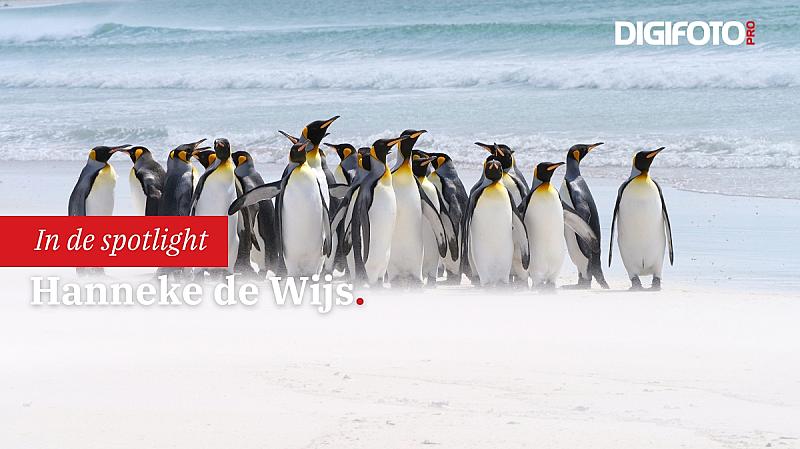 spotlight-van-de-week-15-digifoto-pro-gallery-0