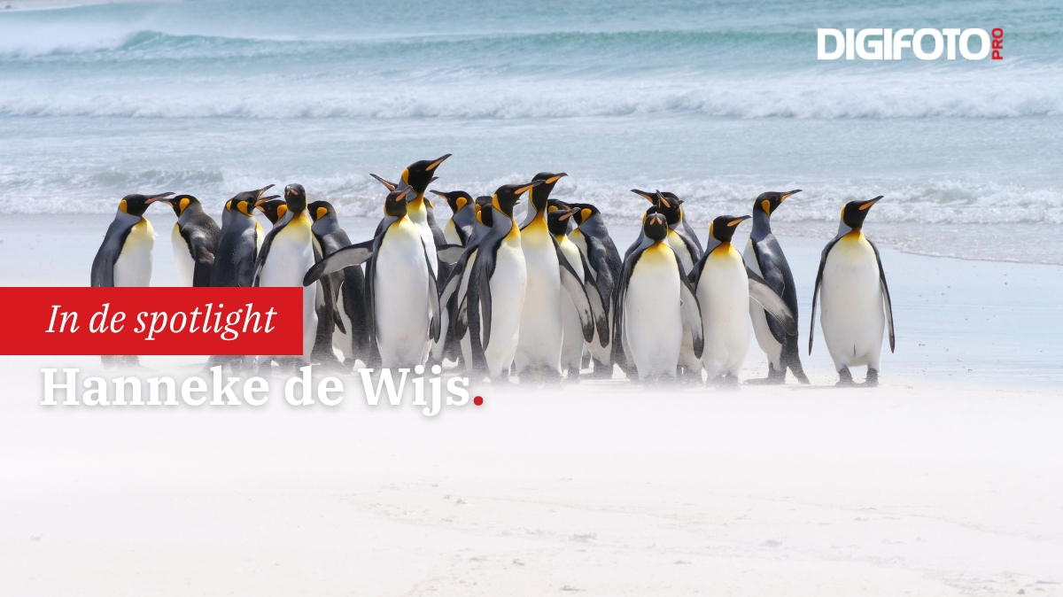 spotlight-van-de-week-15-digifoto-pro-gallery-0