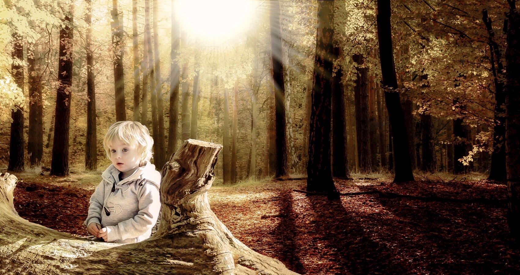 voorjaar-maart-2016-bos-voordaan-in-utrecht